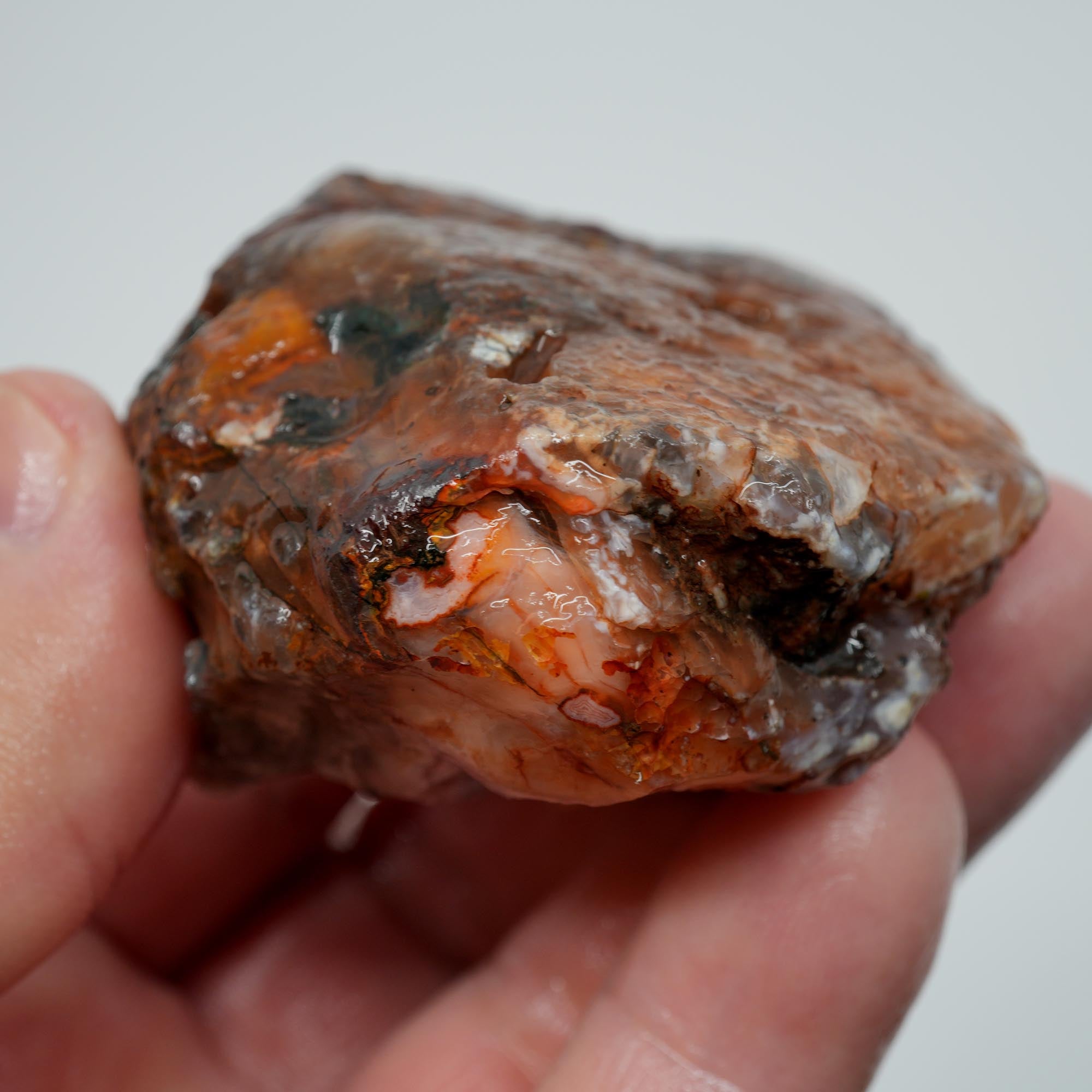Agua Nueva Agate Rough - High-Grade Nodule Blue and Pink Fortification