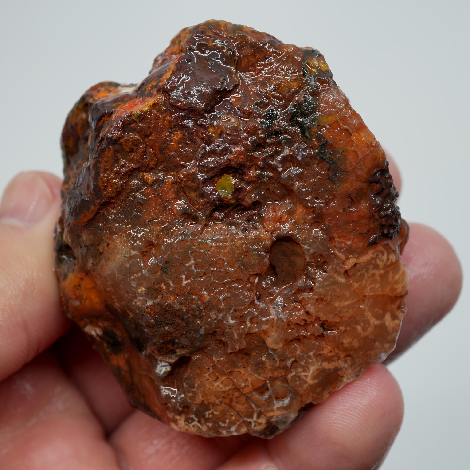 Agua Nueva Agate Rough - High-Grade Nodule Blue and Pink Fortification