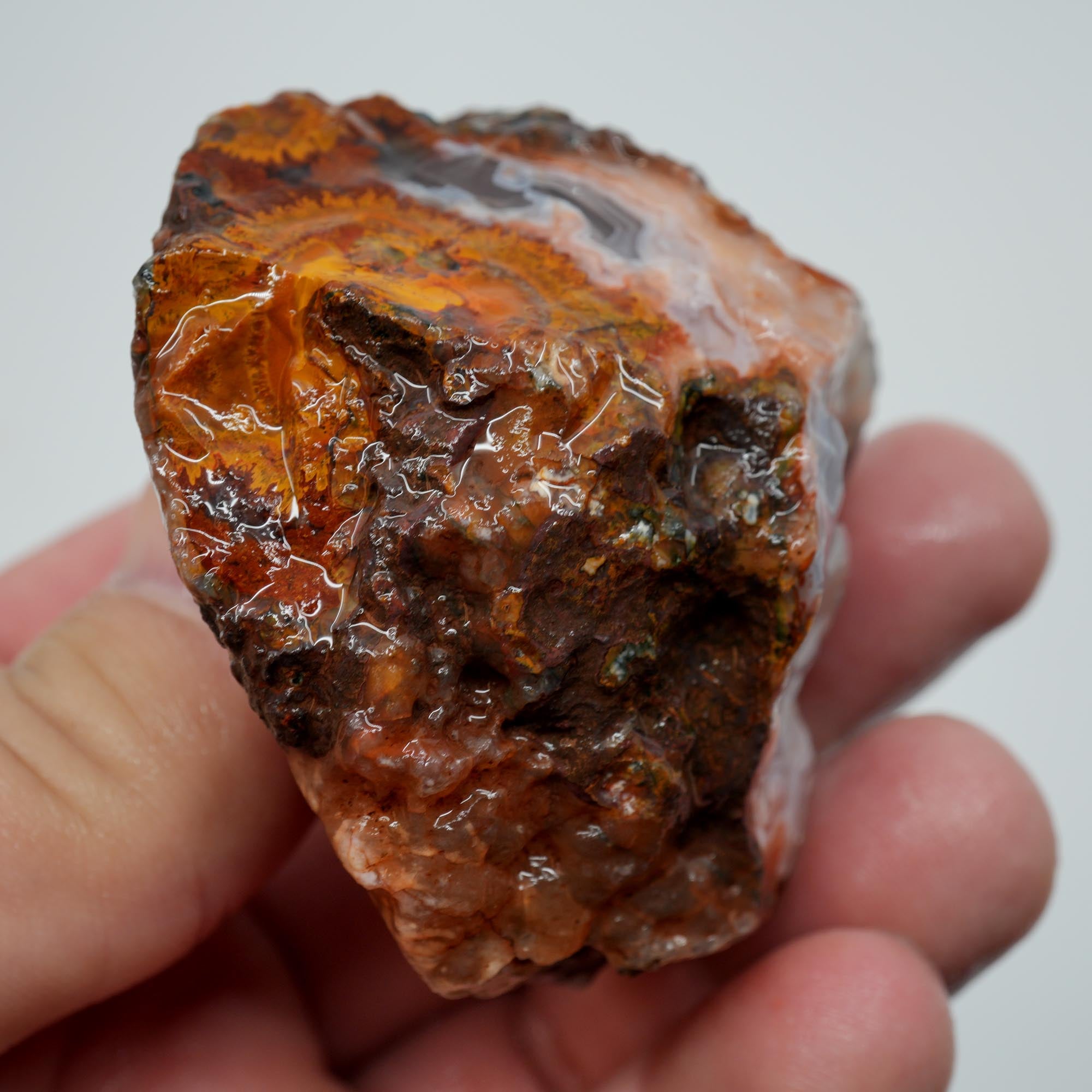 Agua Nueva Agate Rough - High-Grade Nodule Blue and Pink Fortification