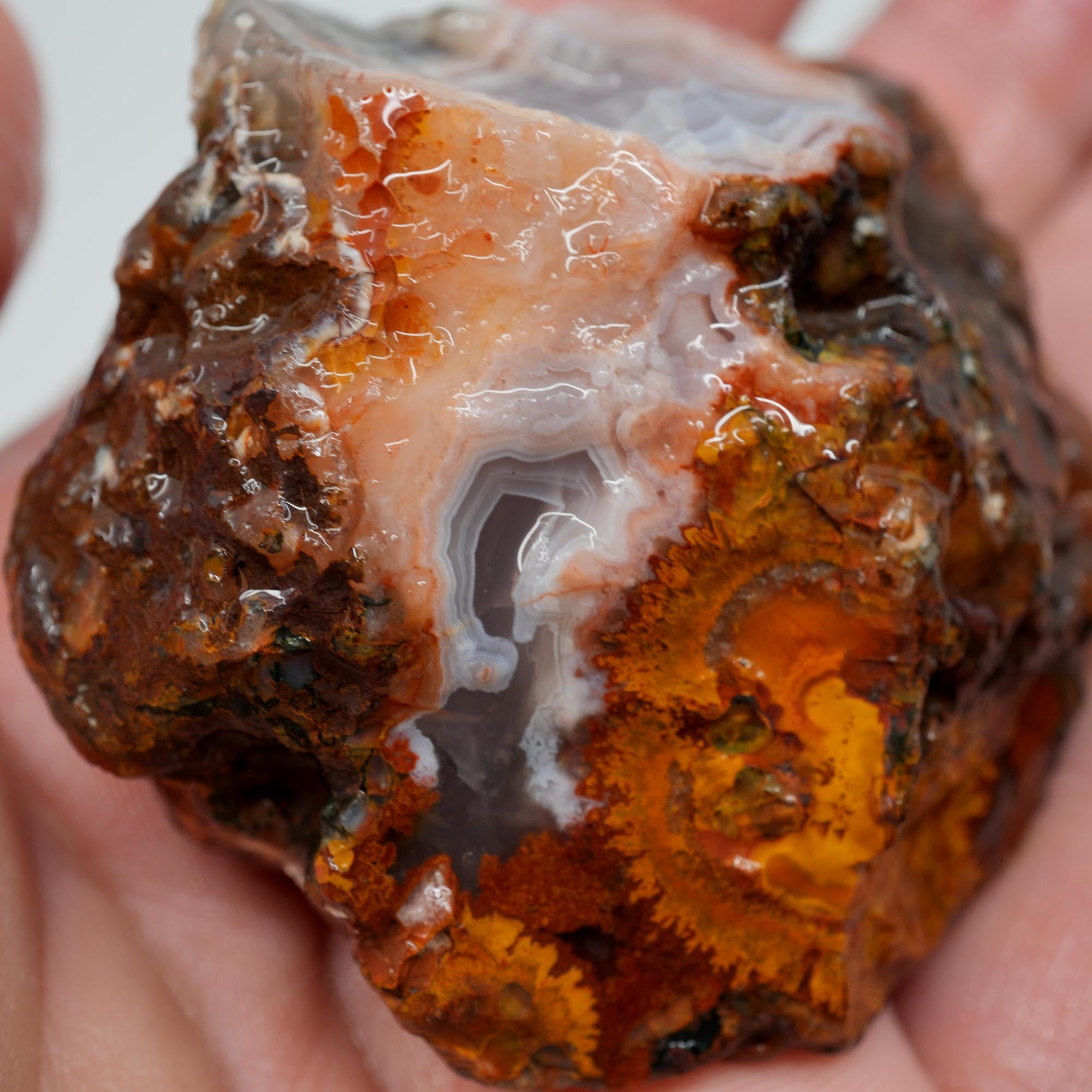 Agua Nueva Agate Rough - High-Grade Nodule Blue and Pink Fortification