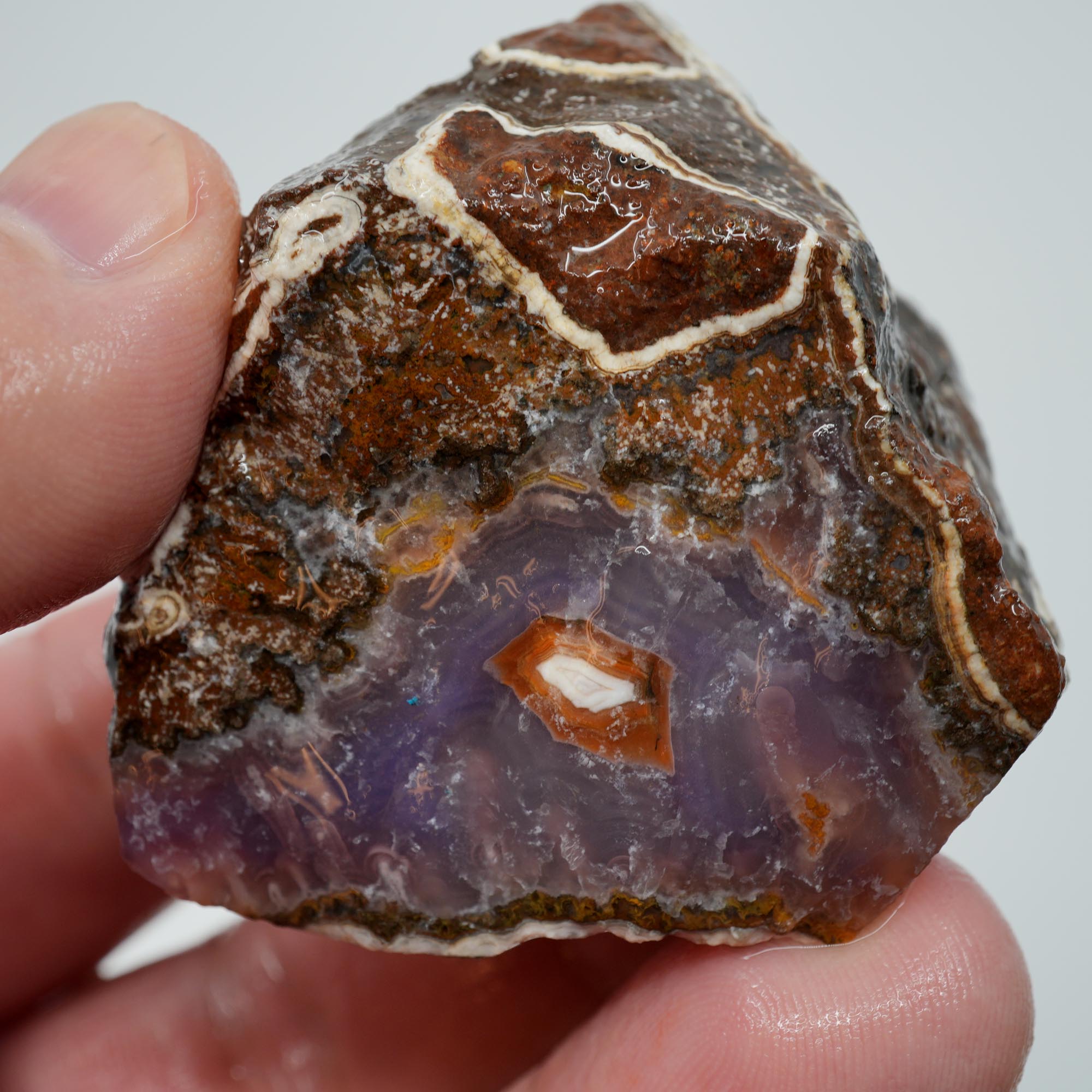 Agua Nueva Agate Rough - Rare Deep Purple Agate Trimmer with Fortification