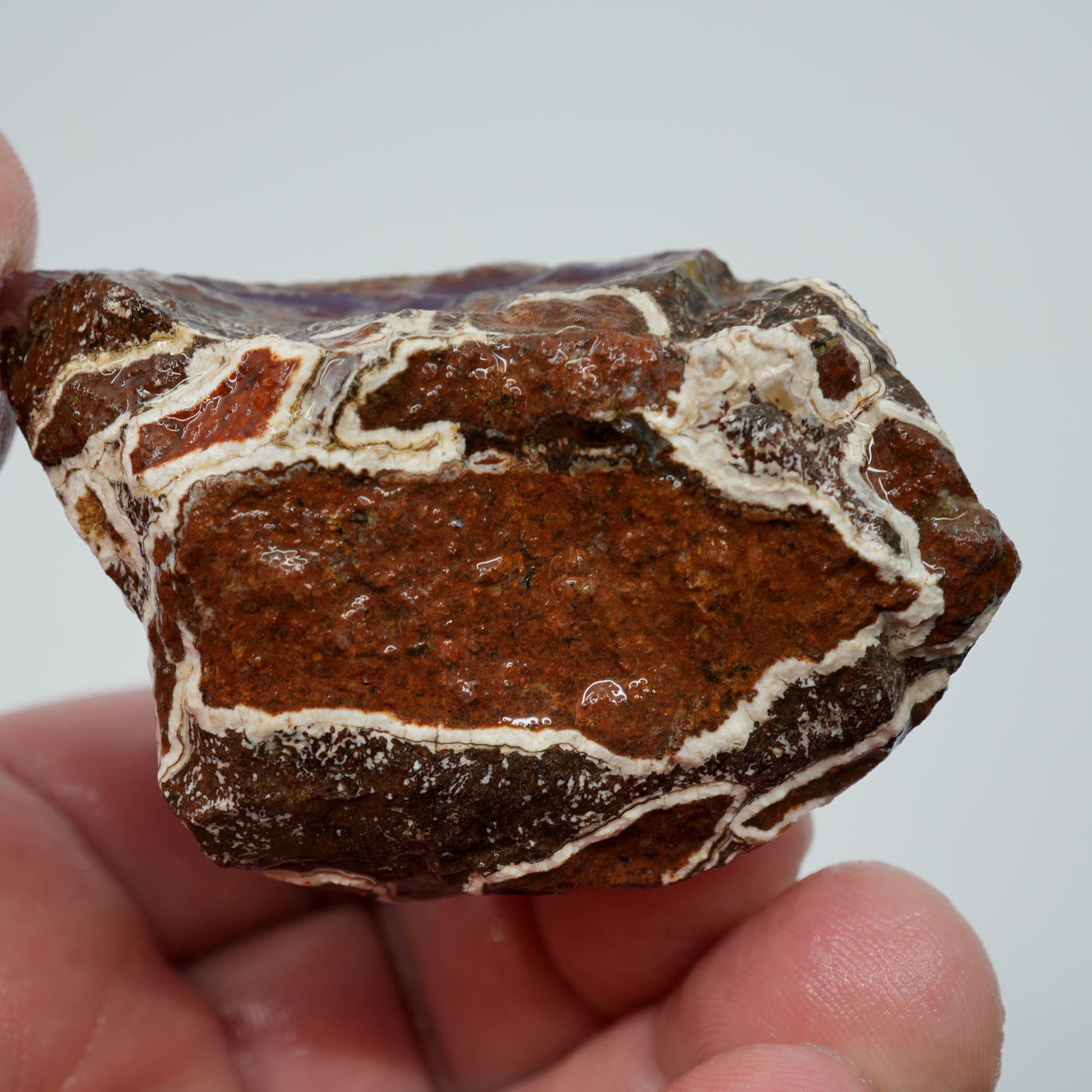 Agua Nueva Agate Rough - Rare Deep Purple Agate Trimmer with Fortification