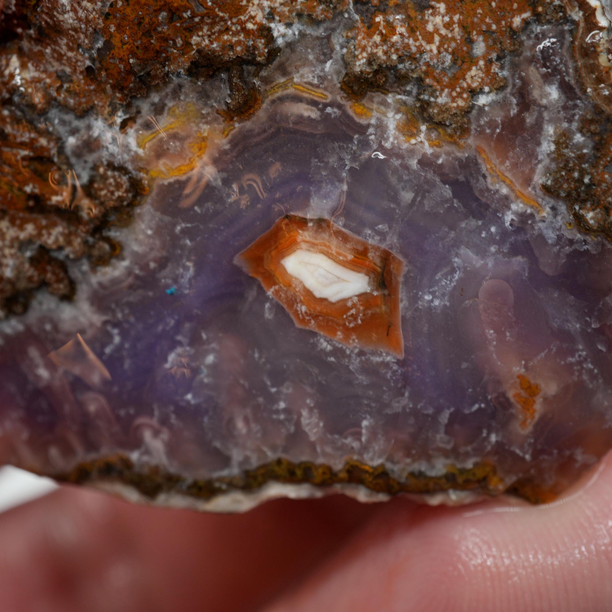 Agua Nueva Agate Rough - Rare Deep Purple Agate Trimmer with Fortification