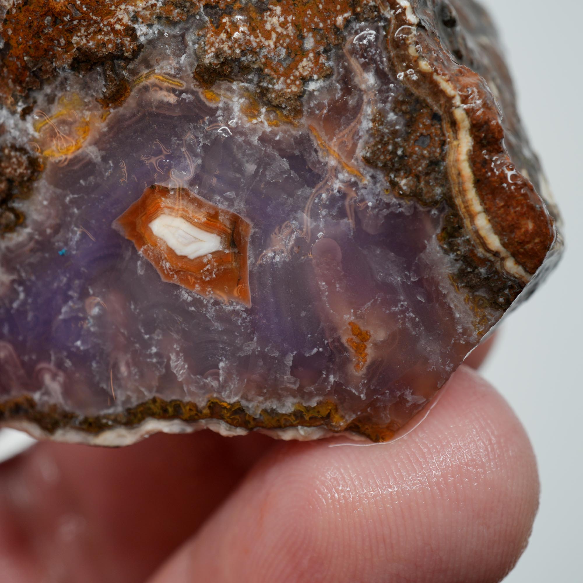 Agua Nueva Agate Rough - Rare Deep Purple Agate Trimmer with Fortification