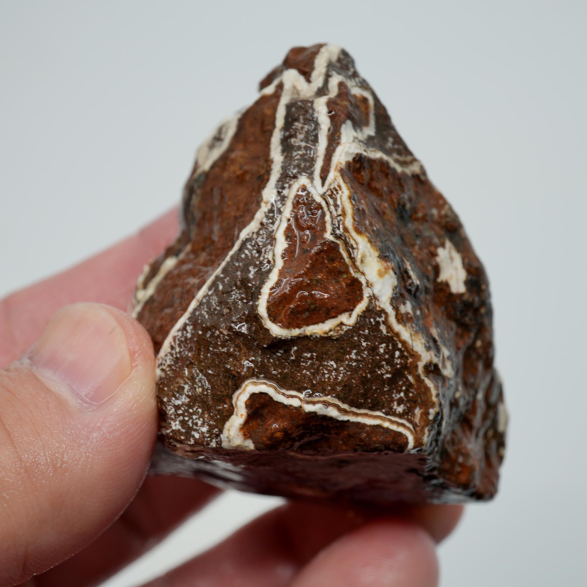 Agua Nueva Agate Rough - Rare Deep Purple Agate Trimmer with Fortification