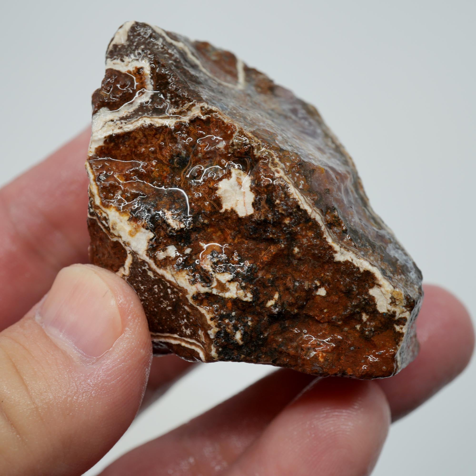 Agua Nueva Agate Rough - Rare Deep Purple Agate Trimmer with Fortification
