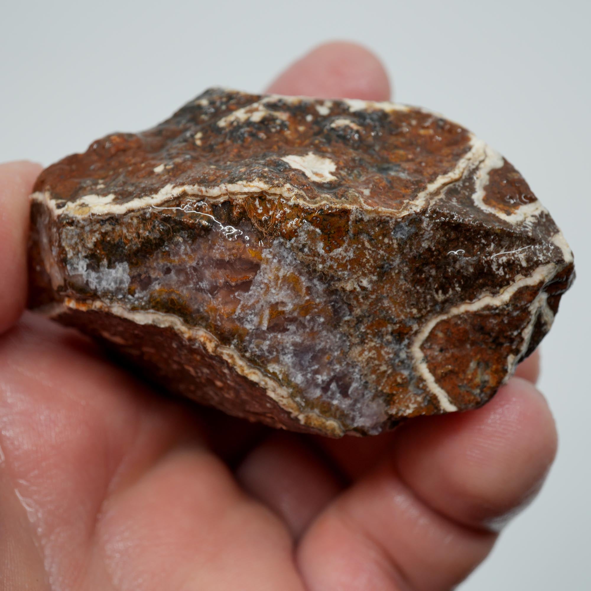 Agua Nueva Agate Rough - Rare Deep Purple Agate Trimmer with Fortification