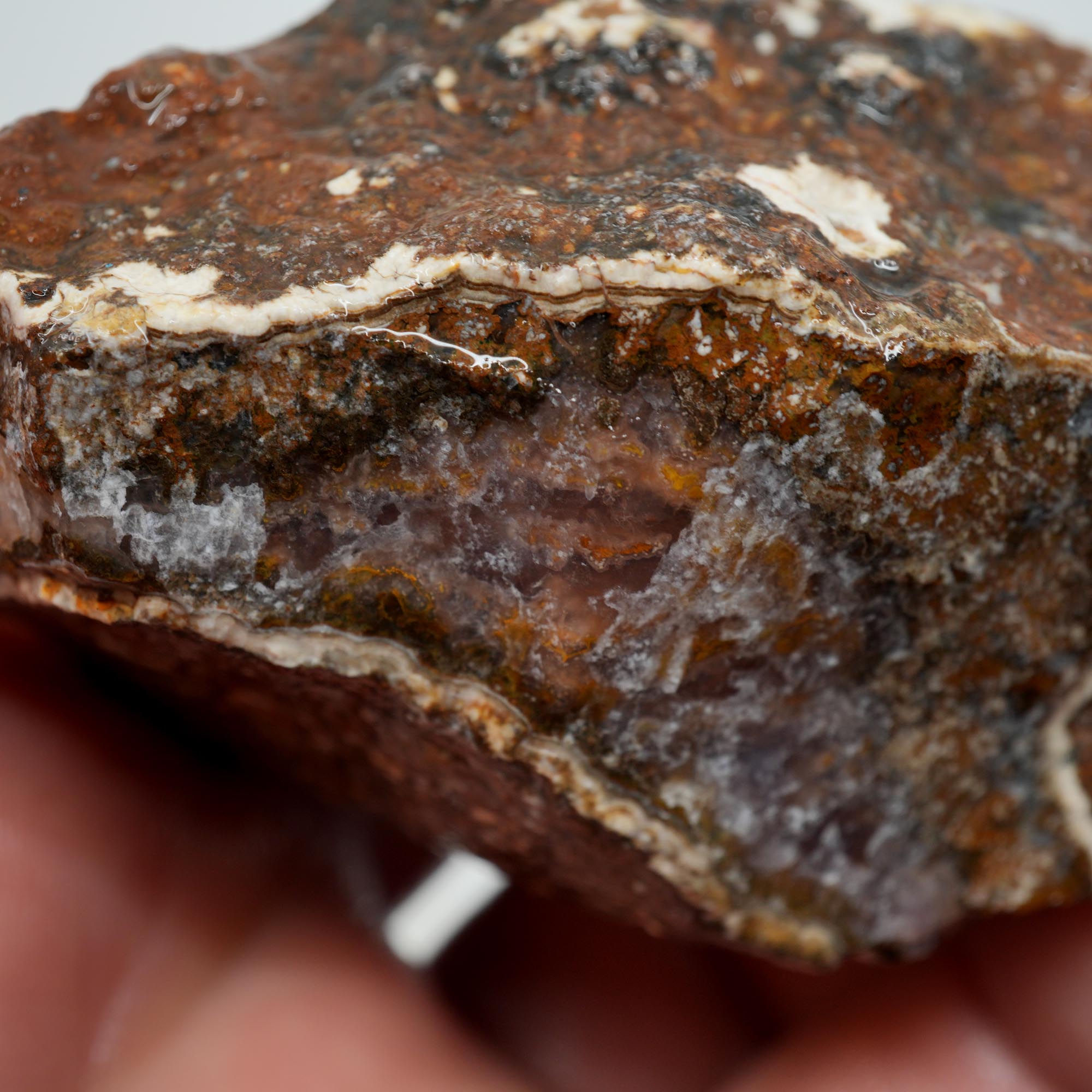 Agua Nueva Agate Rough - Rare Deep Purple Agate Trimmer with Fortification
