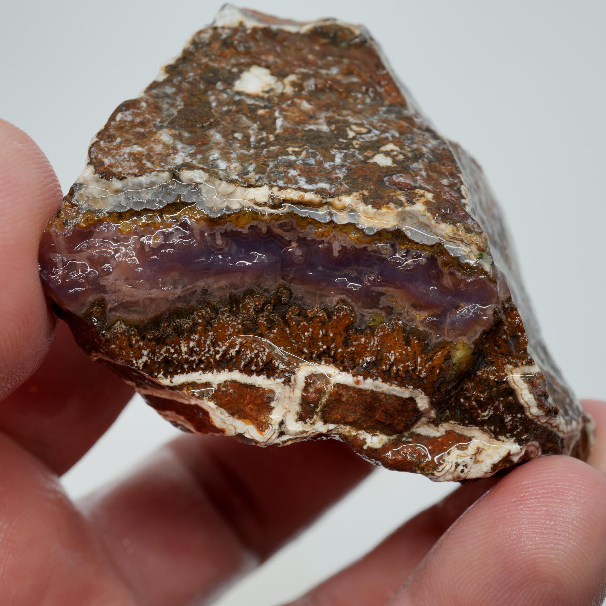 Agua Nueva Agate Rough - Rare Deep Purple Agate Trimmer with Fortification