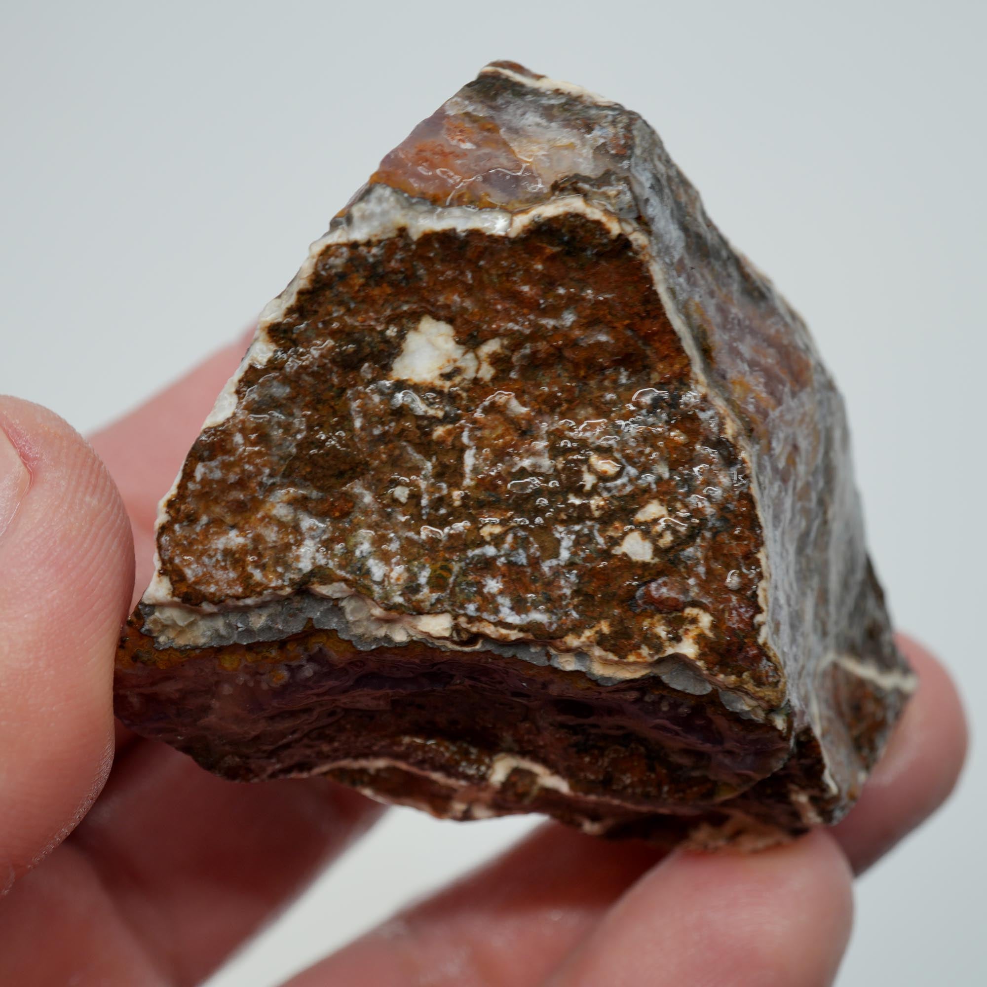 Agua Nueva Agate Rough - Rare Deep Purple Agate Trimmer with Fortification