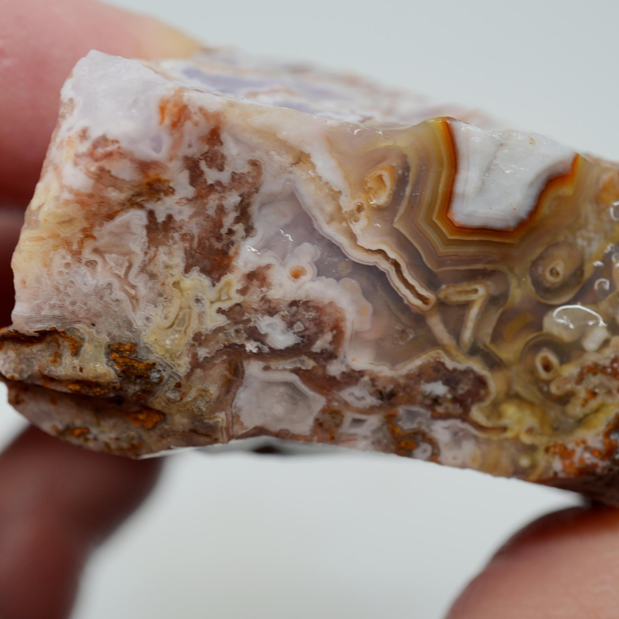 Agua Nueva Agate Rough - Flowing Purple Moss Agate Scene Trimmer
