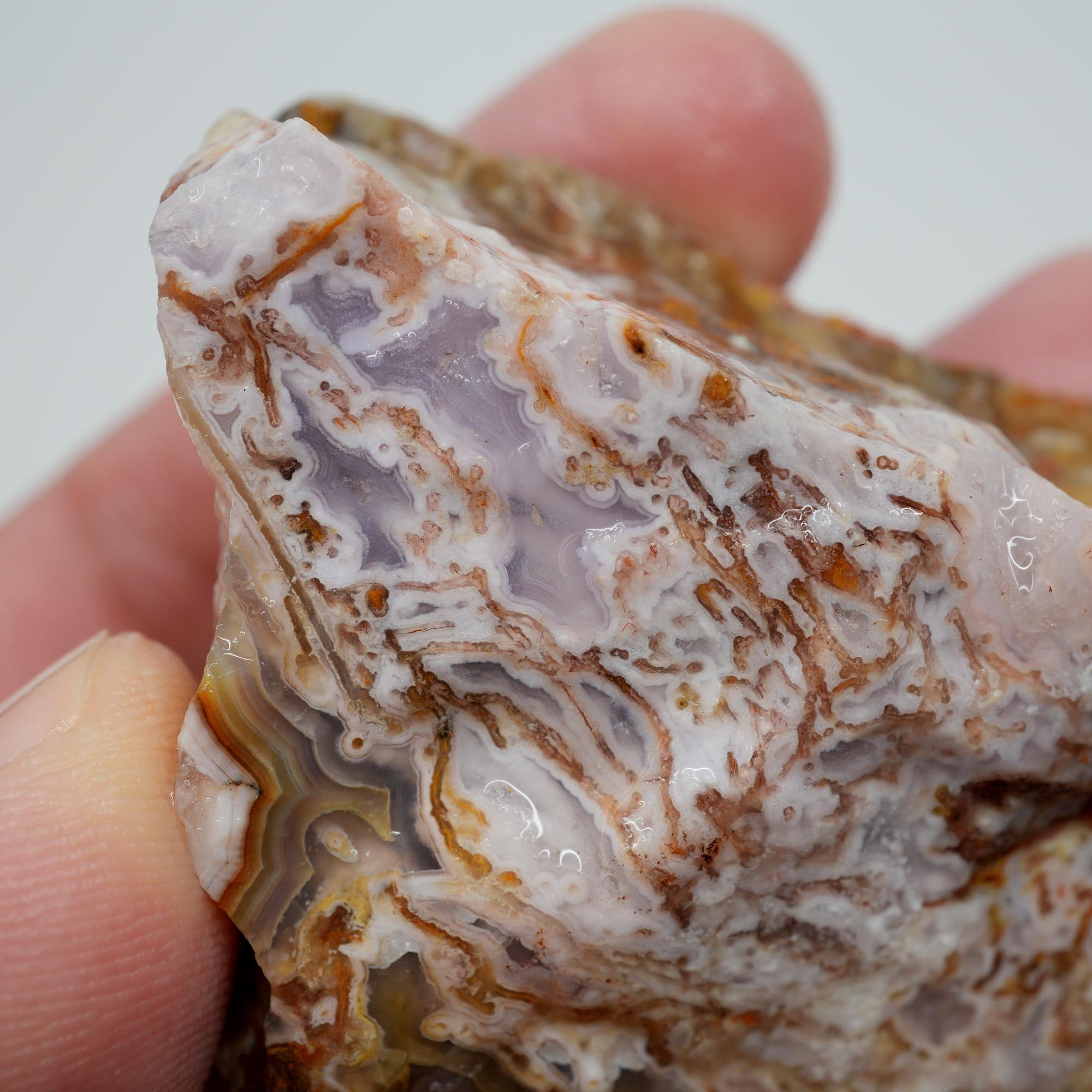 Agua Nueva Agate Rough - Flowing Purple Moss Agate Scene Trimmer