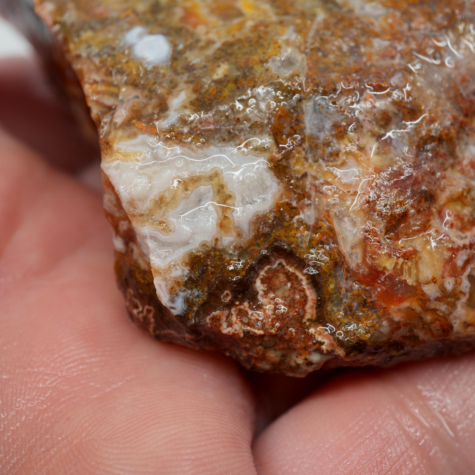 Agua Nueva Agate Rough - Flowing Purple Moss Agate Scene Trimmer
