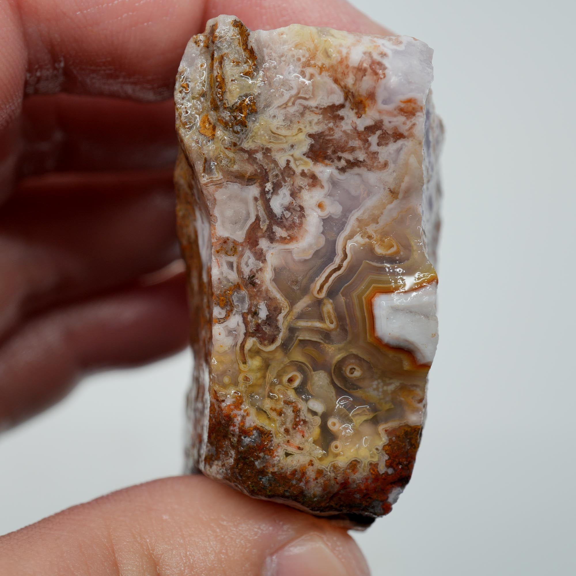 Agua Nueva Agate Rough - Flowing Purple Moss Agate Scene Trimmer