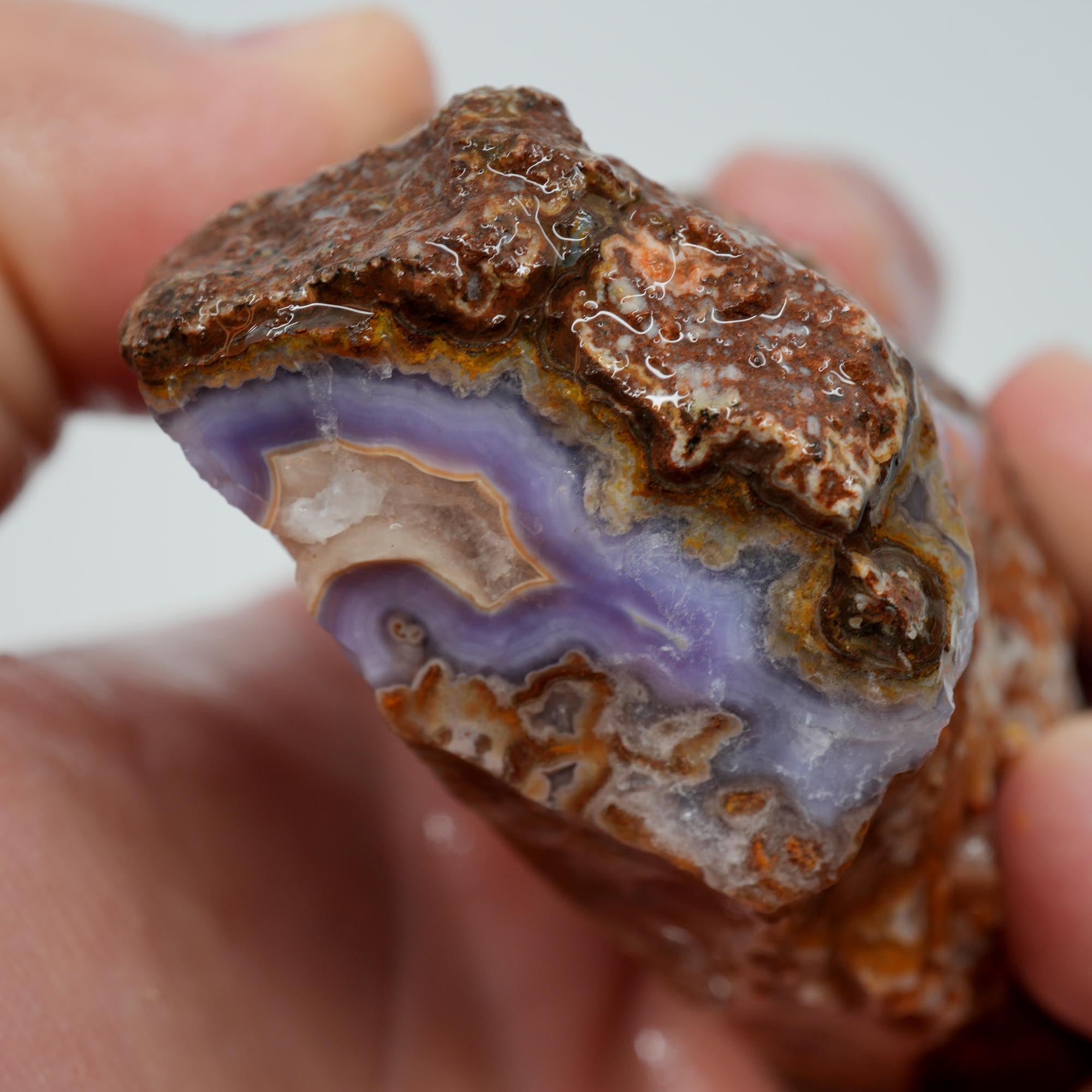 Agua Nueva Agate Rough - Purple Agate with Tube Moss and Fortification