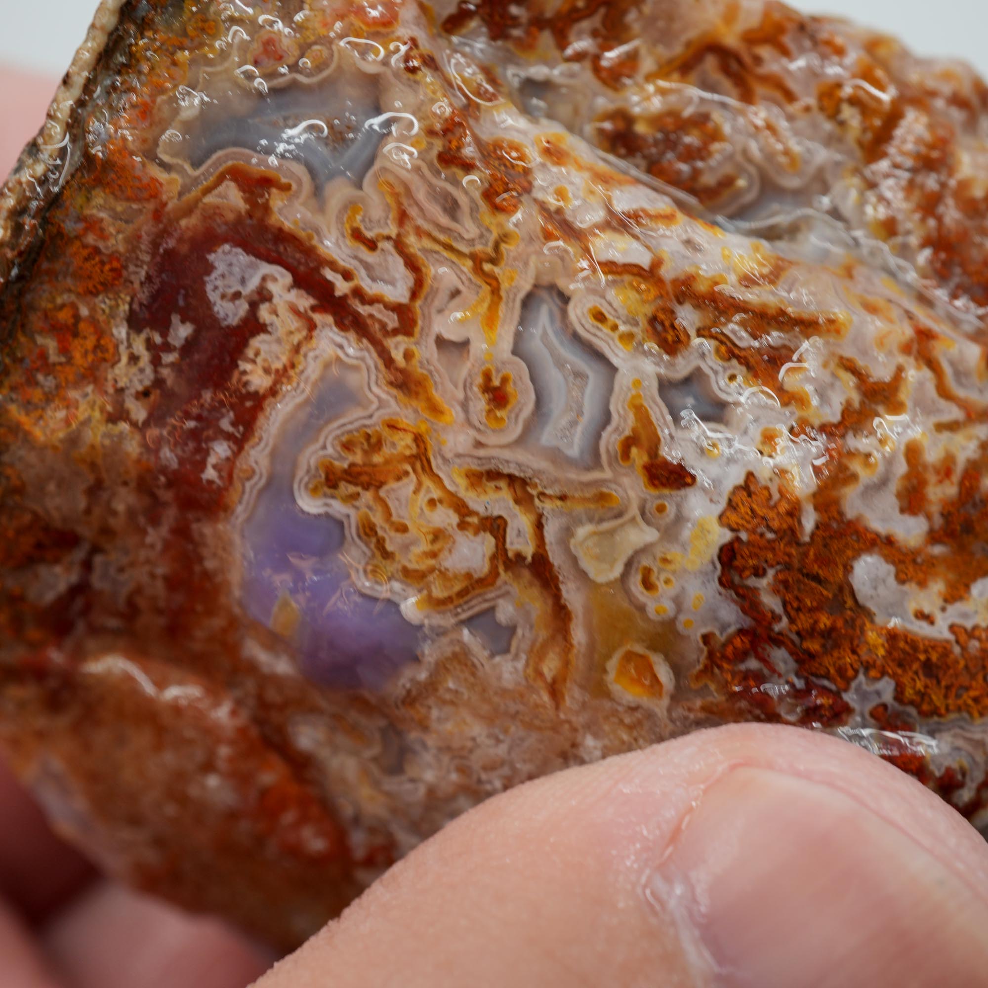 Agua Nueva Agate Rough - Purple Agate with Tube Moss and Fortification