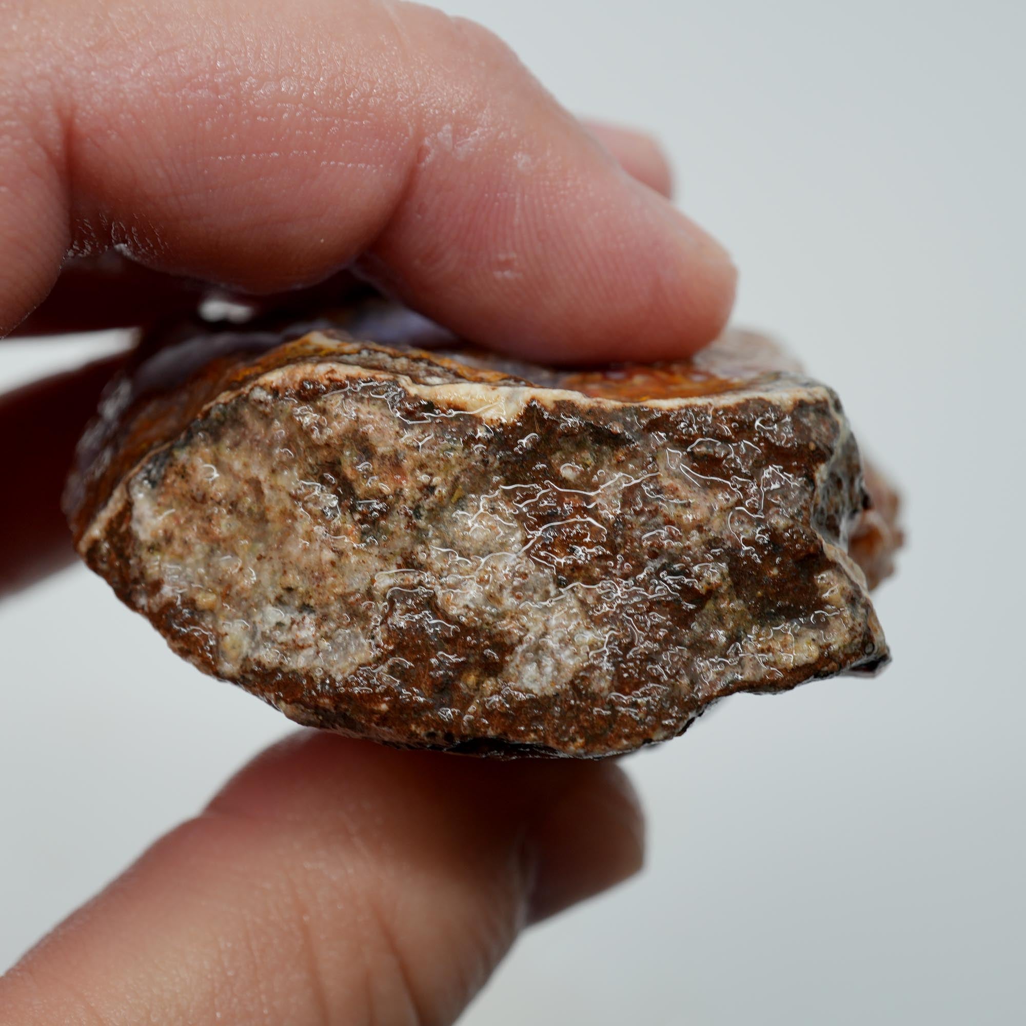 Agua Nueva Agate Rough - Purple Agate with Tube Moss and Fortification
