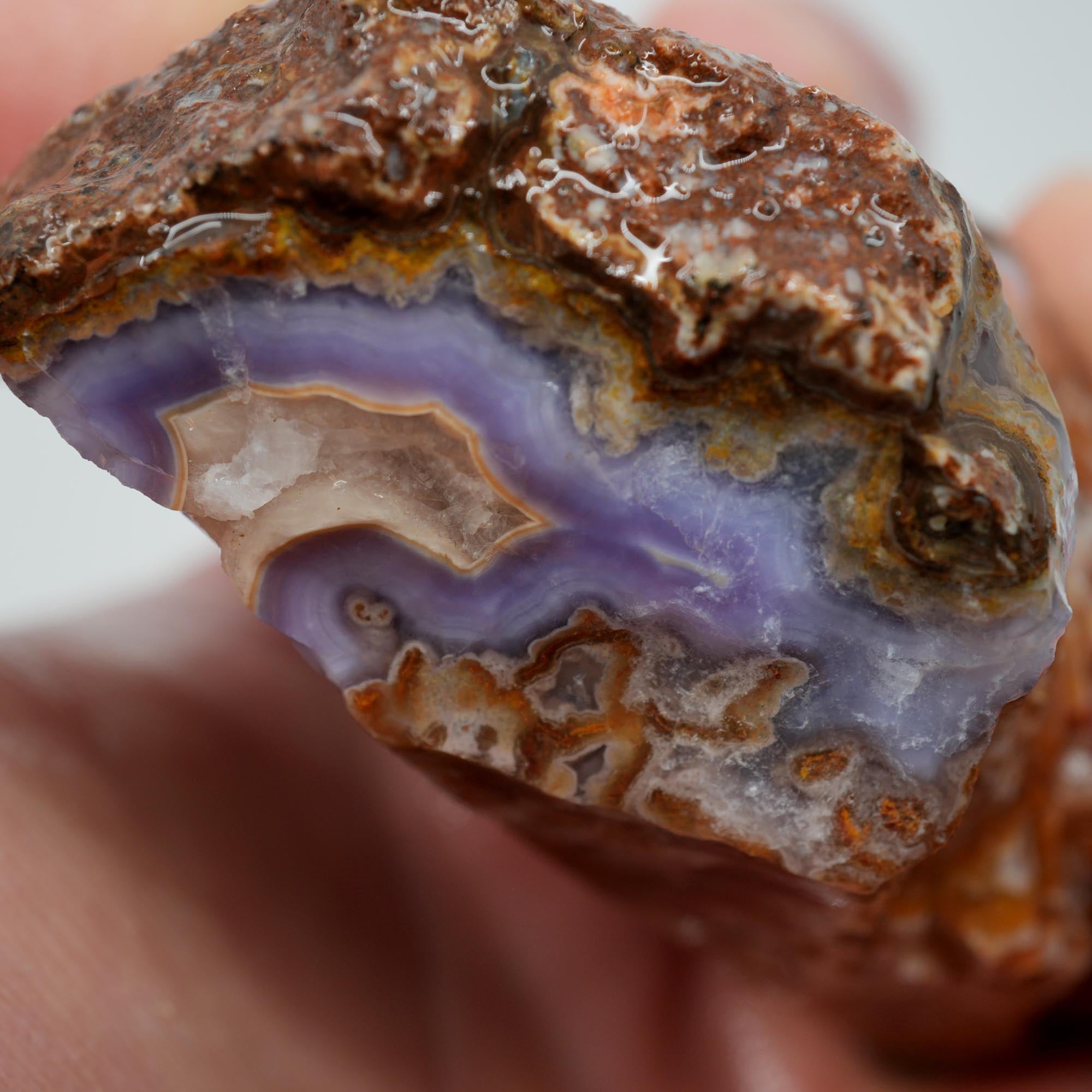 Agua Nueva Agate Rough - Purple Agate with Tube Moss and Fortification