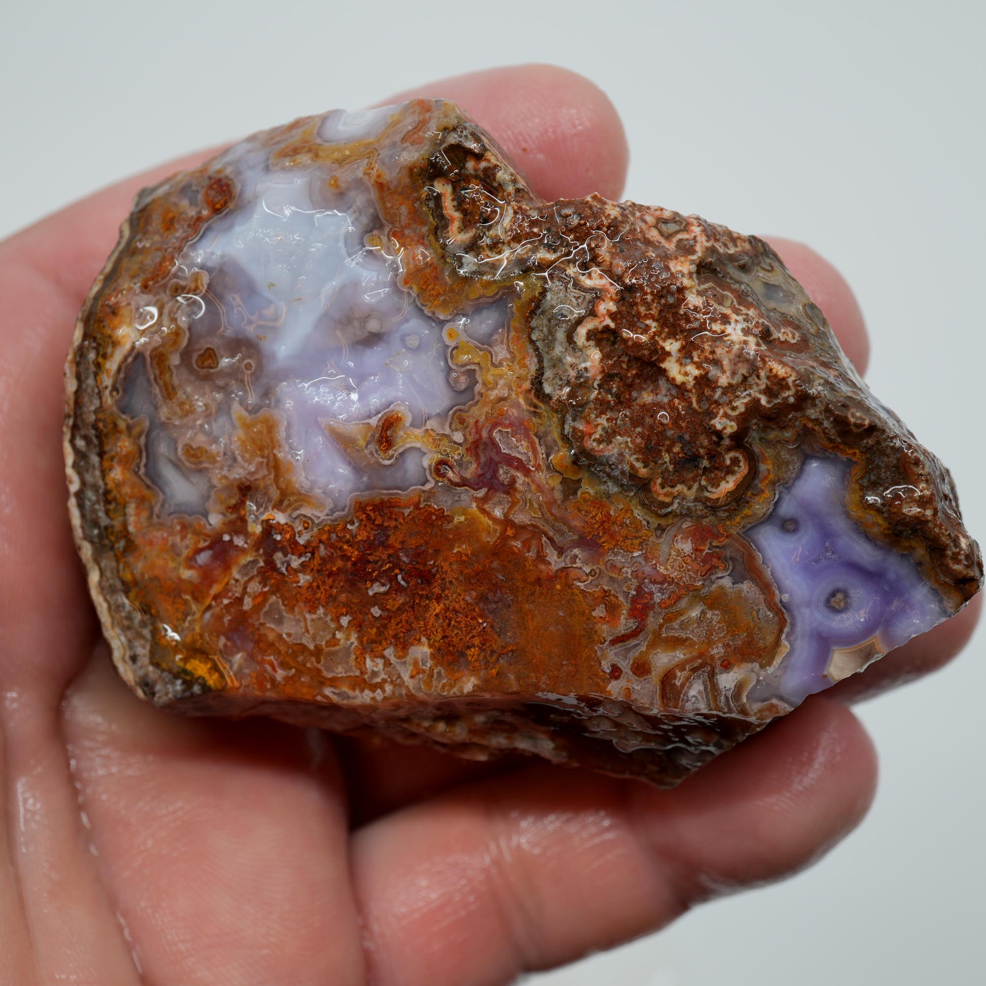 Agua Nueva Agate Rough - Purple Agate with Tube Moss and Fortification