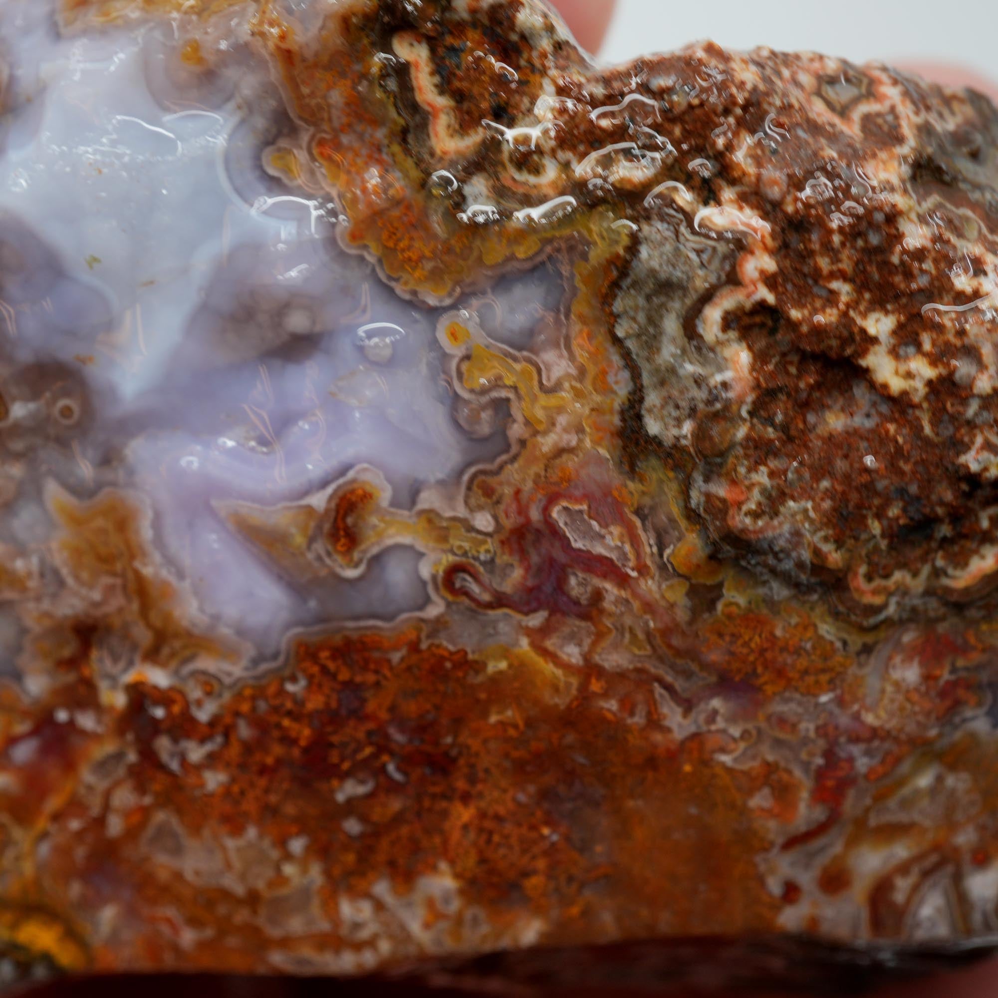 Agua Nueva Agate Rough - Purple Agate with Tube Moss and Fortification