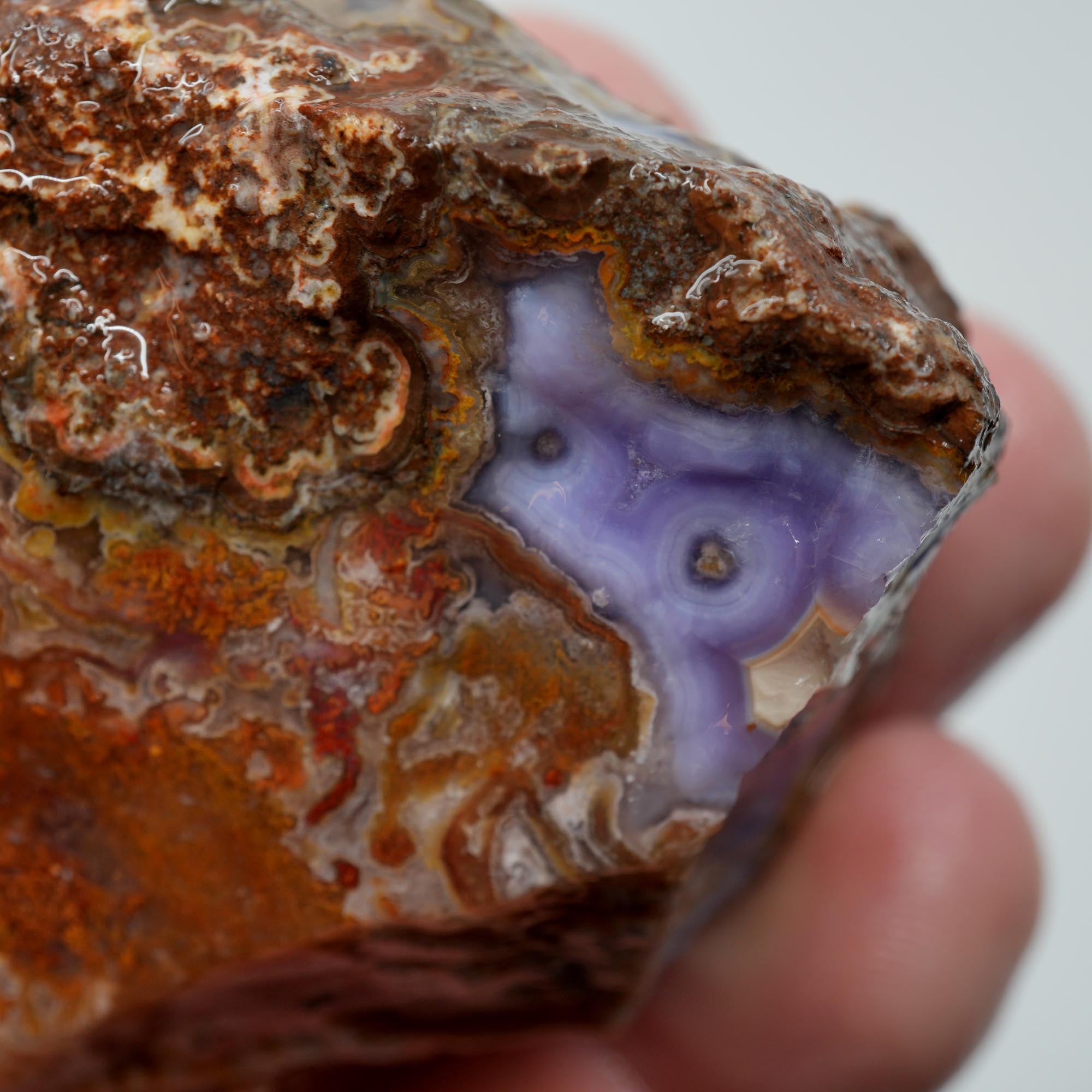 Agua Nueva Agate Rough - Purple Agate with Tube Moss and Fortification