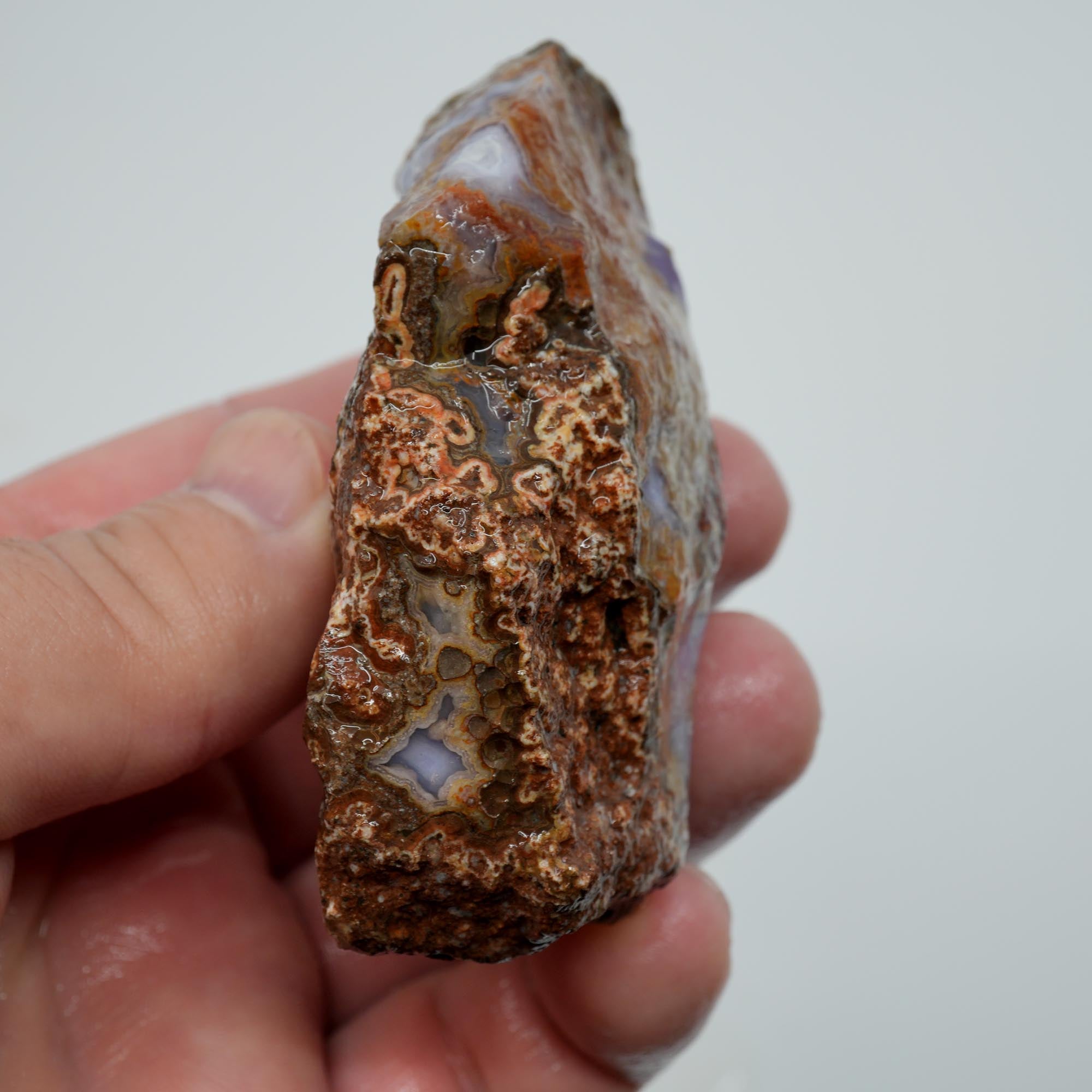 Agua Nueva Agate Rough - Purple Agate with Tube Moss and Fortification