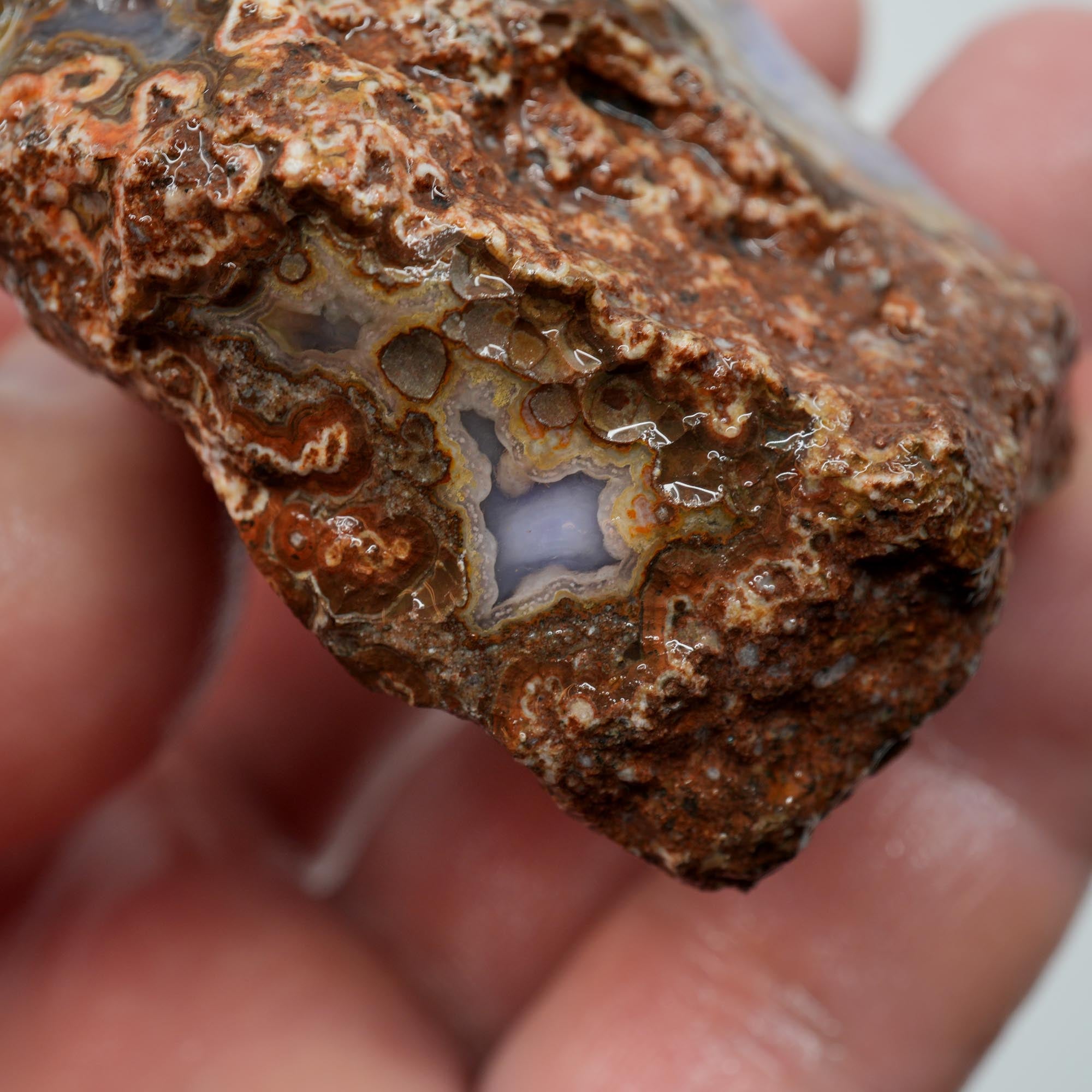Agua Nueva Agate Rough - Purple Agate with Tube Moss and Fortification