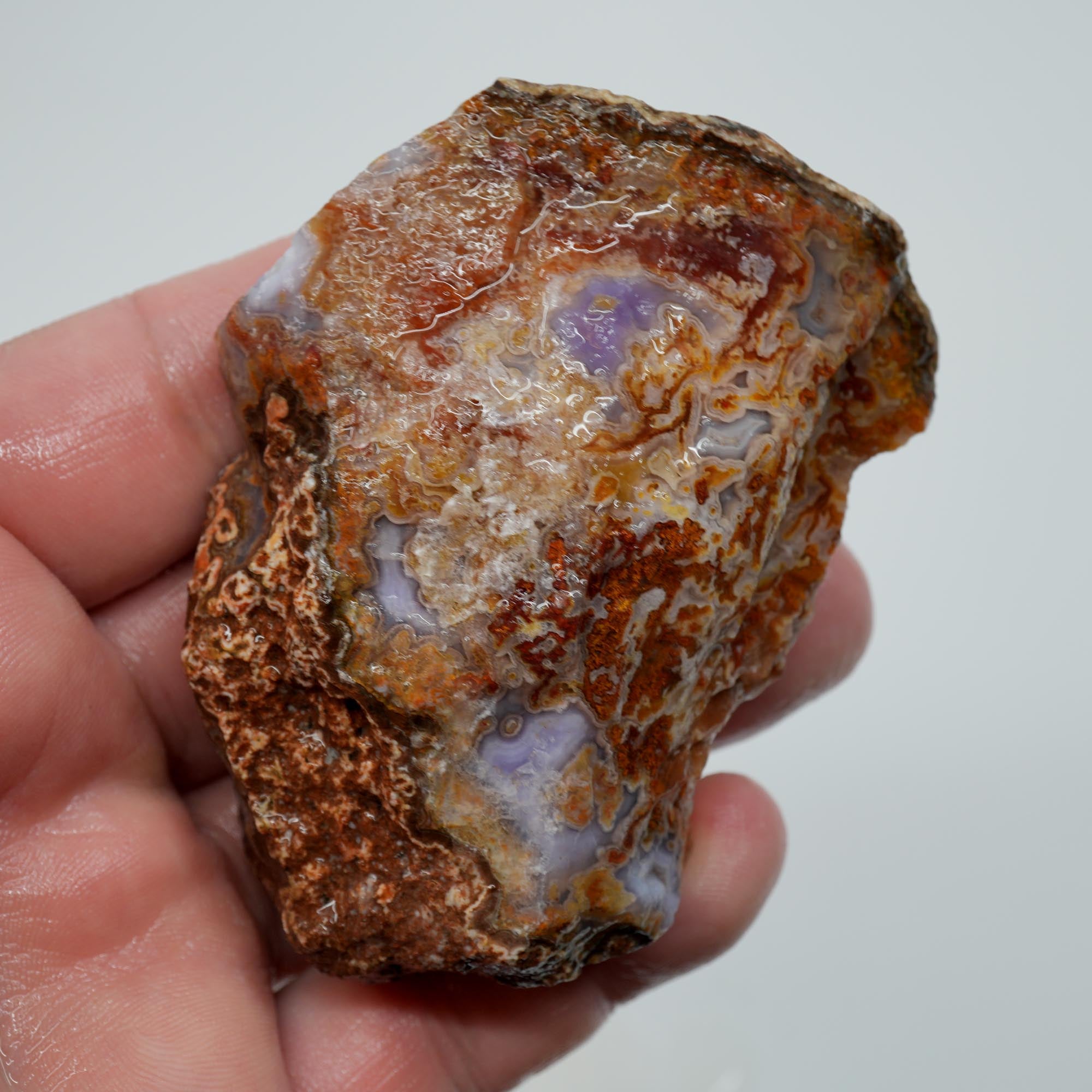Agua Nueva Agate Rough - Purple Agate with Tube Moss and Fortification