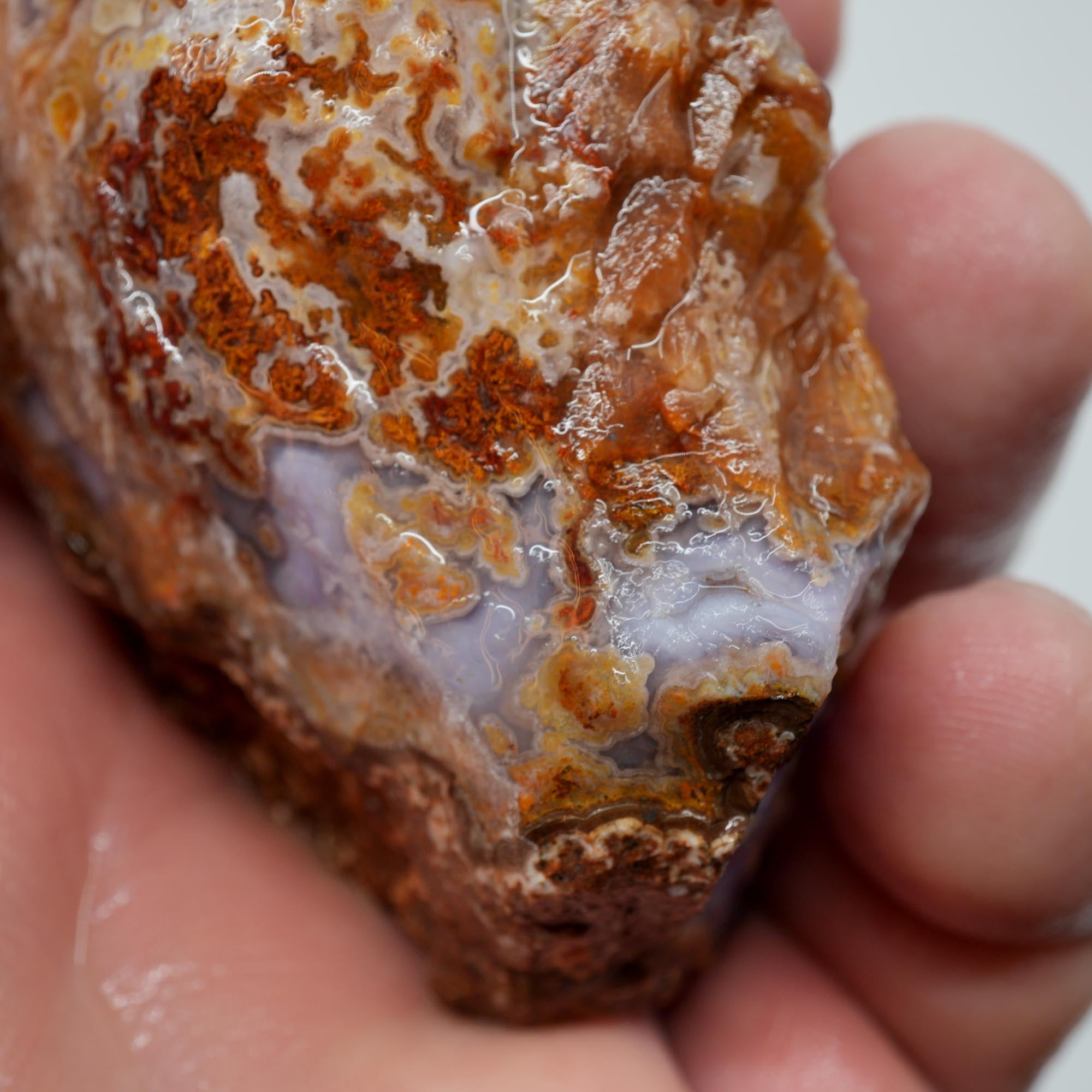 Agua Nueva Agate Rough - Purple Agate with Tube Moss and Fortification