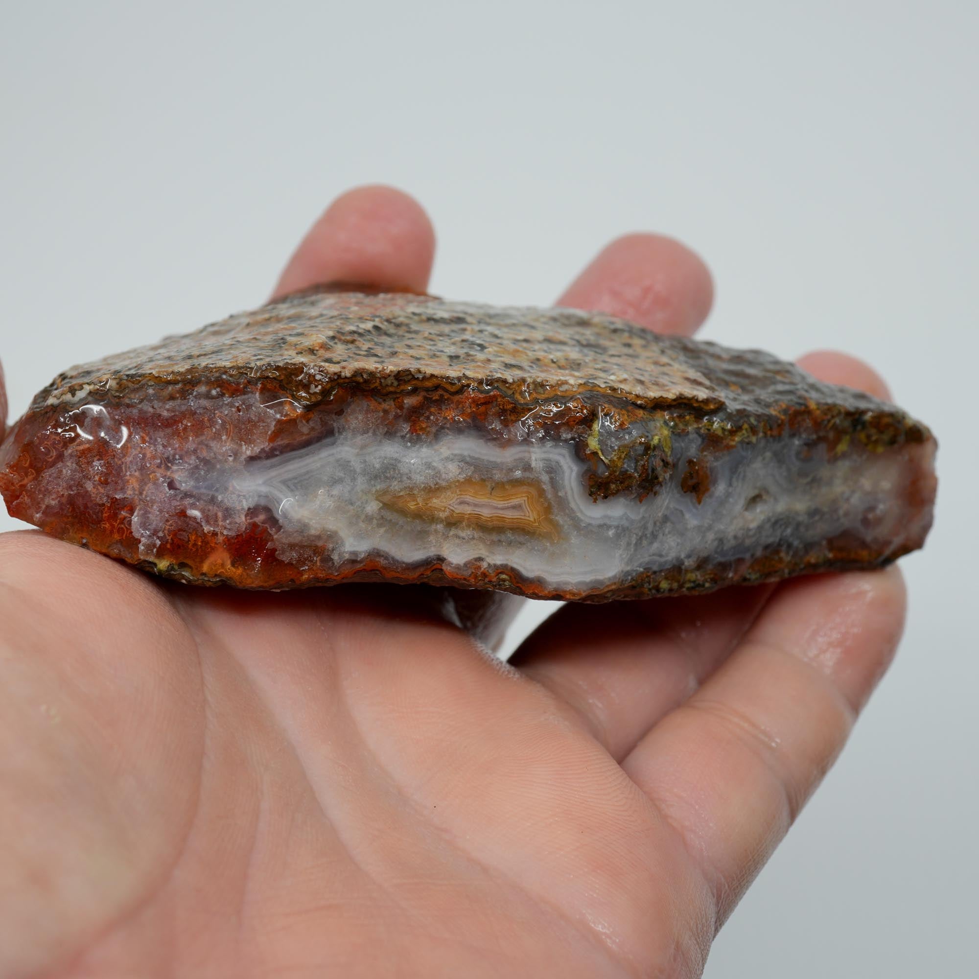 Agua Nueva Agate Rough - Blue Agate Plate with Gold Lemon Fortification
