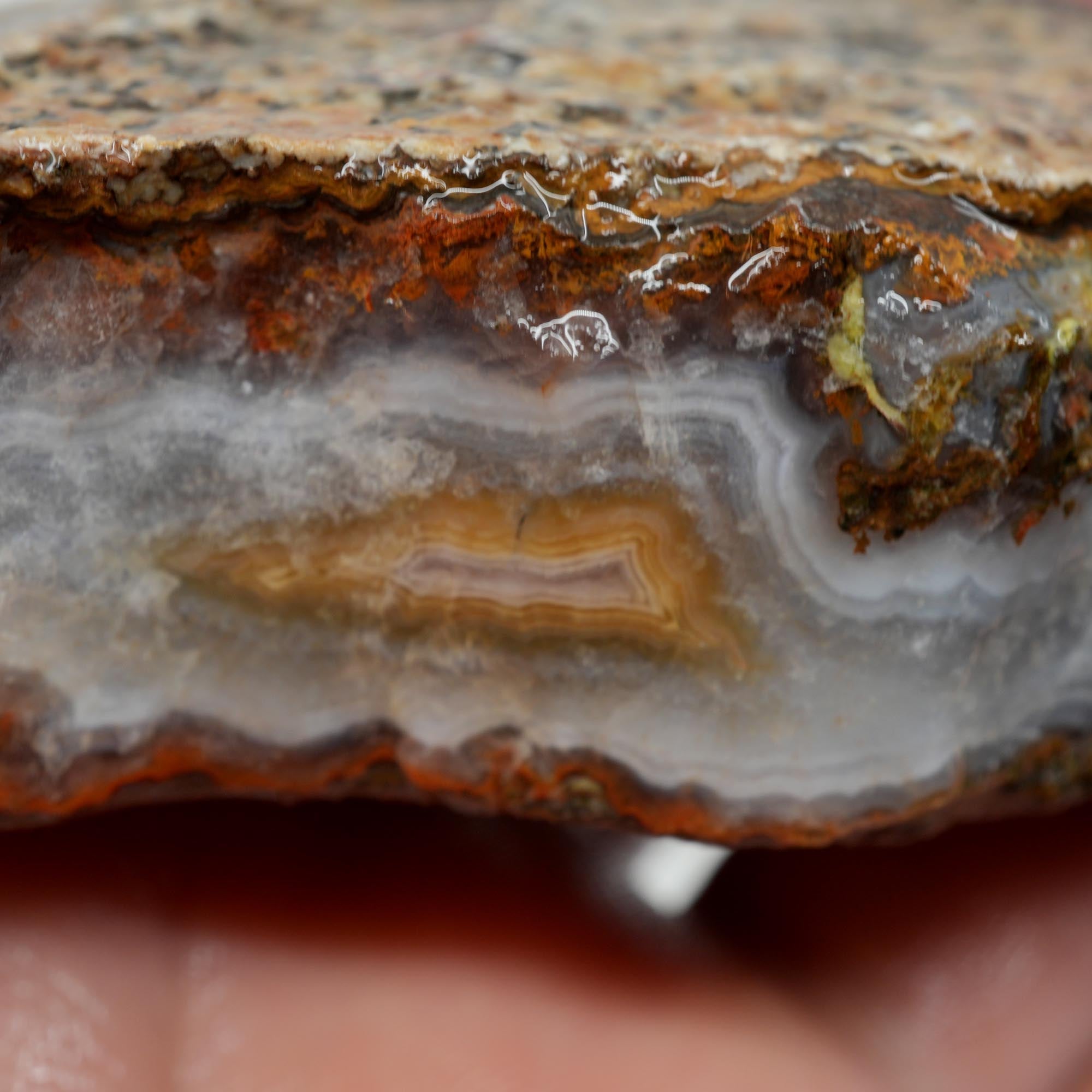 Agua Nueva Agate Rough - Blue Agate Plate with Gold Lemon Fortification