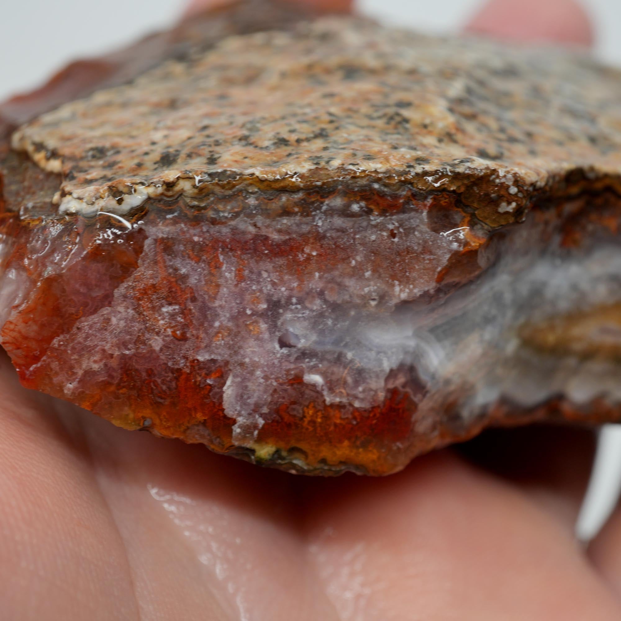 Agua Nueva Agate Rough - Blue Agate Plate with Gold Lemon Fortification