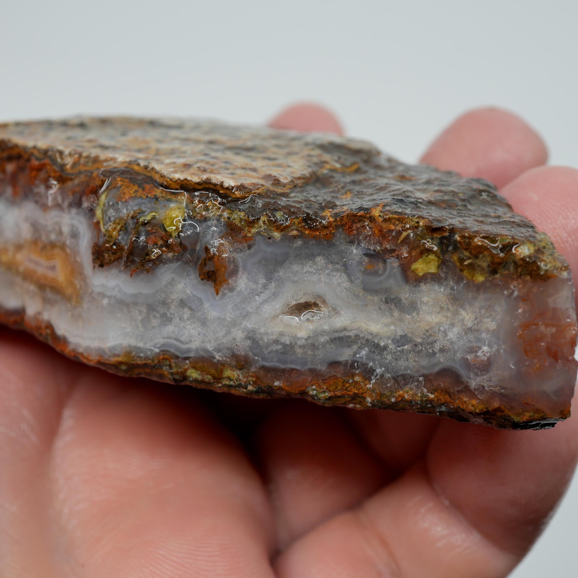 Agua Nueva Agate Rough - Blue Agate Plate with Gold Lemon Fortification