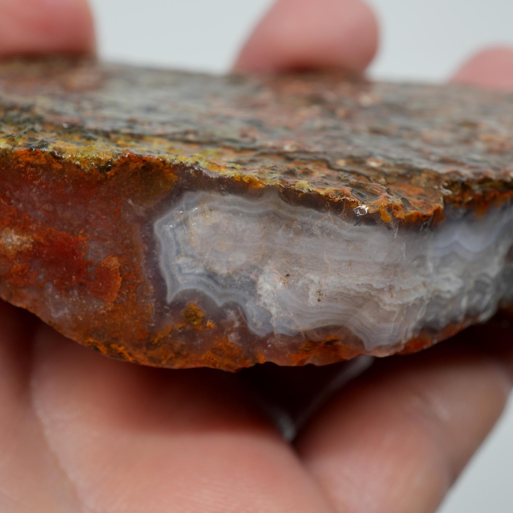 Agua Nueva Agate Rough - Blue Agate Plate with Gold Lemon Fortification