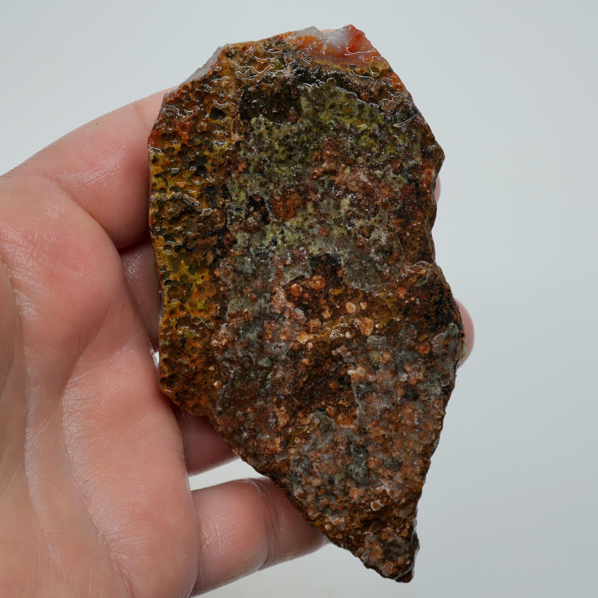 Agua Nueva Agate Rough - Blue Agate Plate with Gold Lemon Fortification