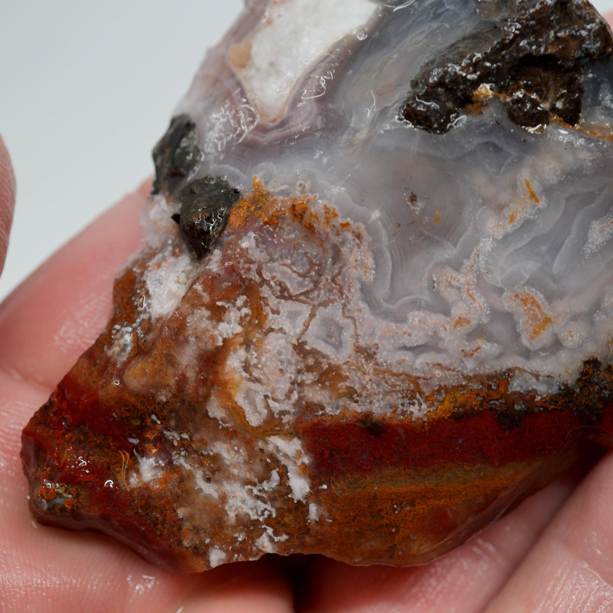Agua Nueva Agate Rough - Fortification and Moss Mexican Moss Trimmer
