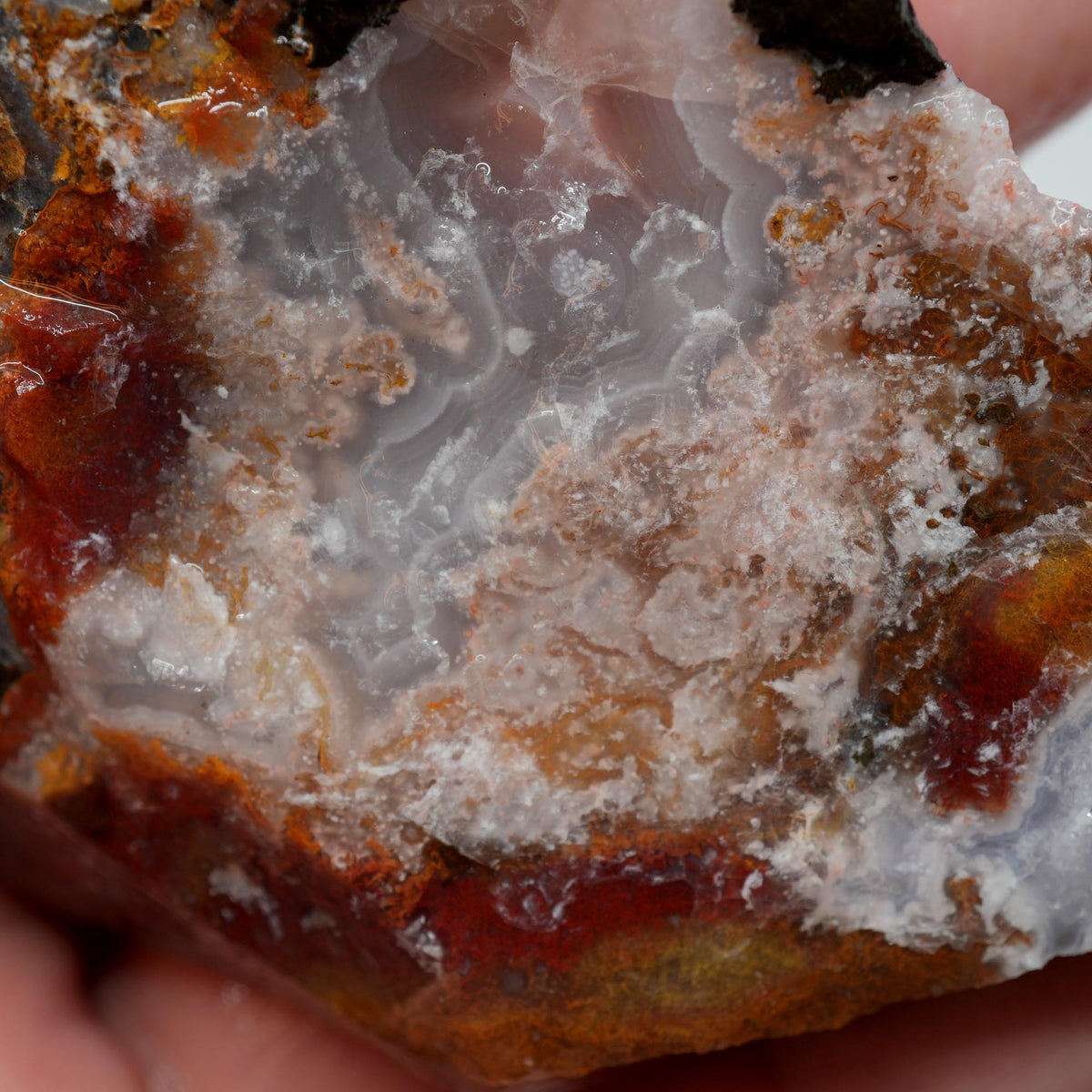 Agua Nueva Agate Rough - Fortification and Moss Mexican Moss Trimmer