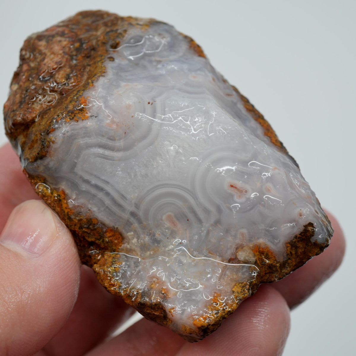 Agua Nueva Agate Rough - Fortification with Tube Mexican Moss Trimmer