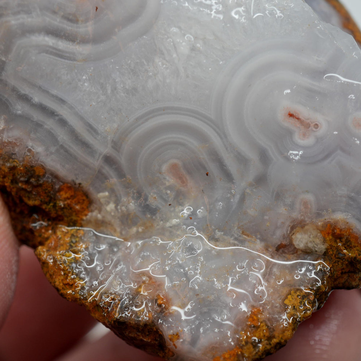 Agua Nueva Agate Rough - Fortification with Tube Mexican Moss Trimmer
