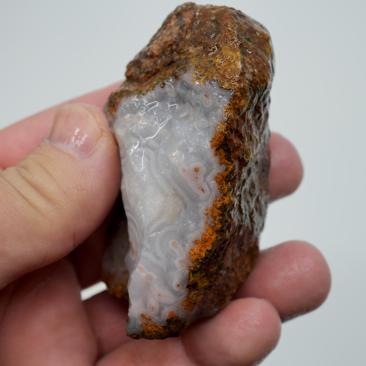 Agua Nueva Agate Rough - Fortification with Tube Mexican Moss Trimmer