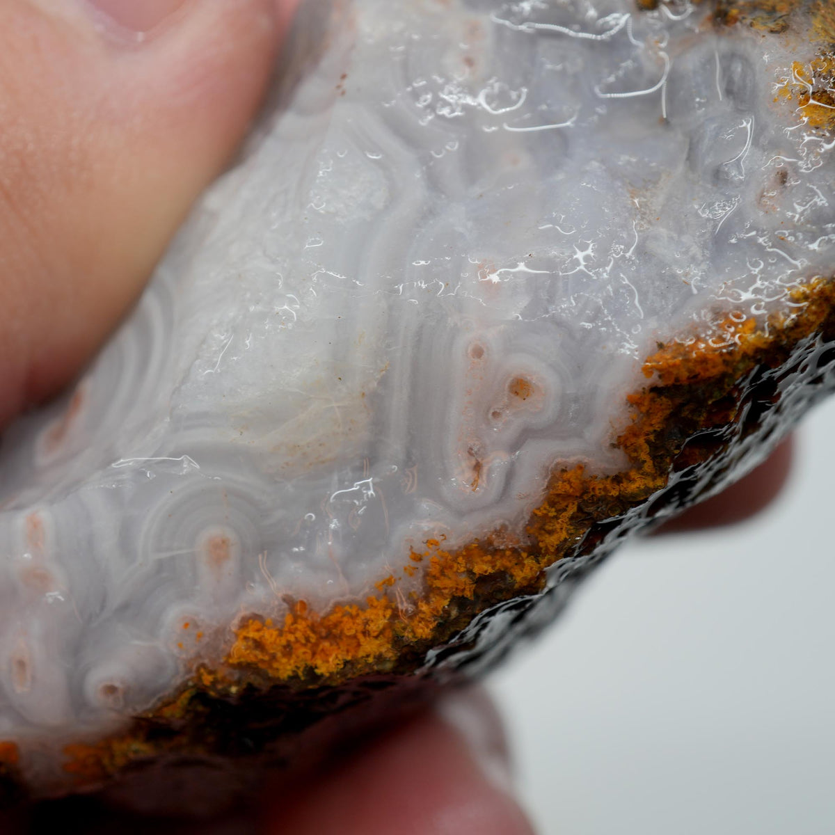 Agua Nueva Agate Rough - Fortification with Tube Mexican Moss Trimmer
