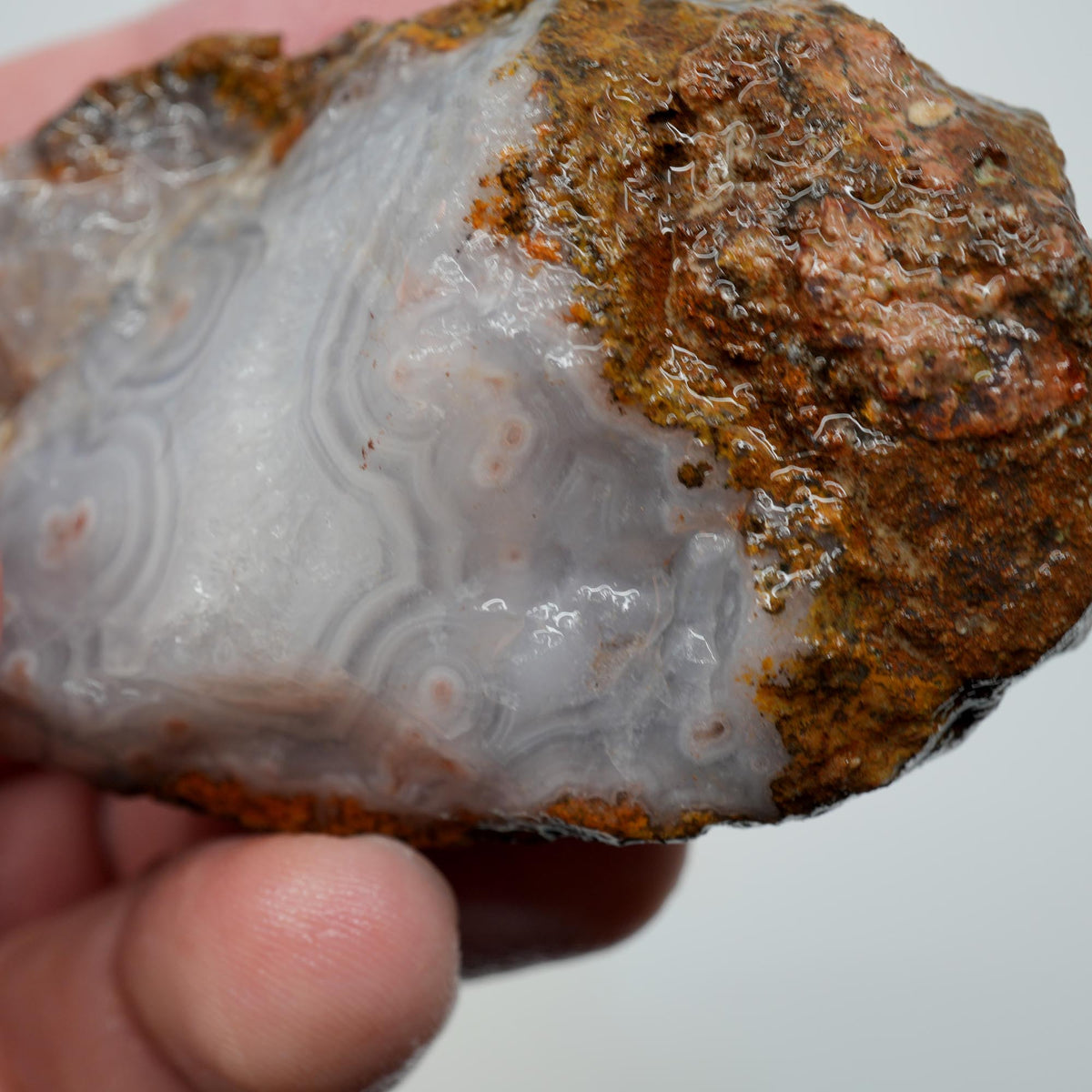 Agua Nueva Agate Rough - Fortification with Tube Mexican Moss Trimmer