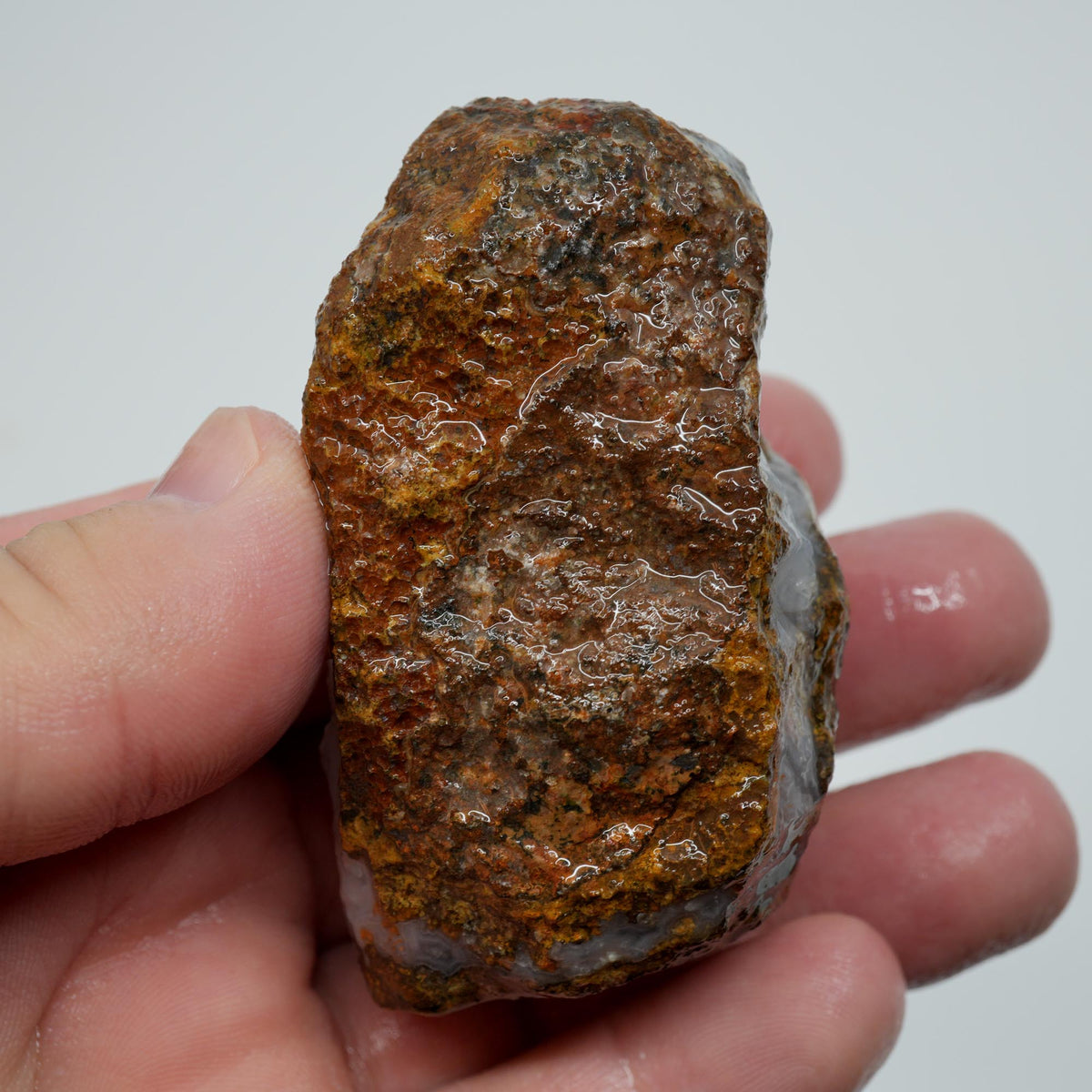 Agua Nueva Agate Rough - Fortification with Tube Mexican Moss Trimmer