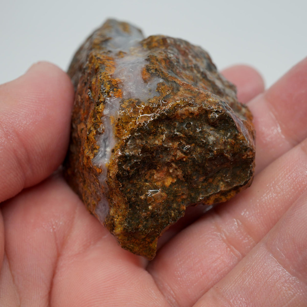 Agua Nueva Agate Rough - Fortification with Tube Mexican Moss Trimmer