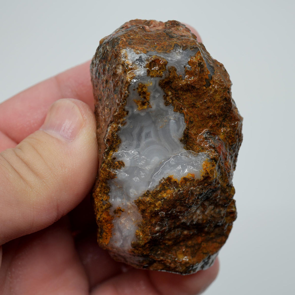 Agua Nueva Agate Rough - Fortification with Tube Mexican Moss Trimmer