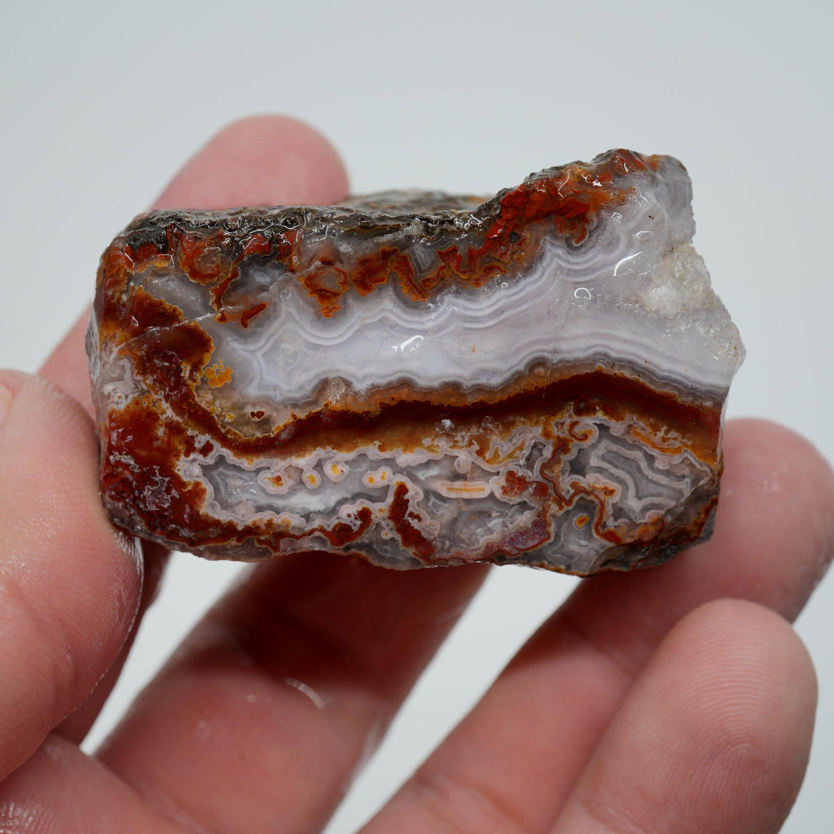 Agua Nueva Agate Rough - Fortification with Moss Above Mexican Moss Trimmer