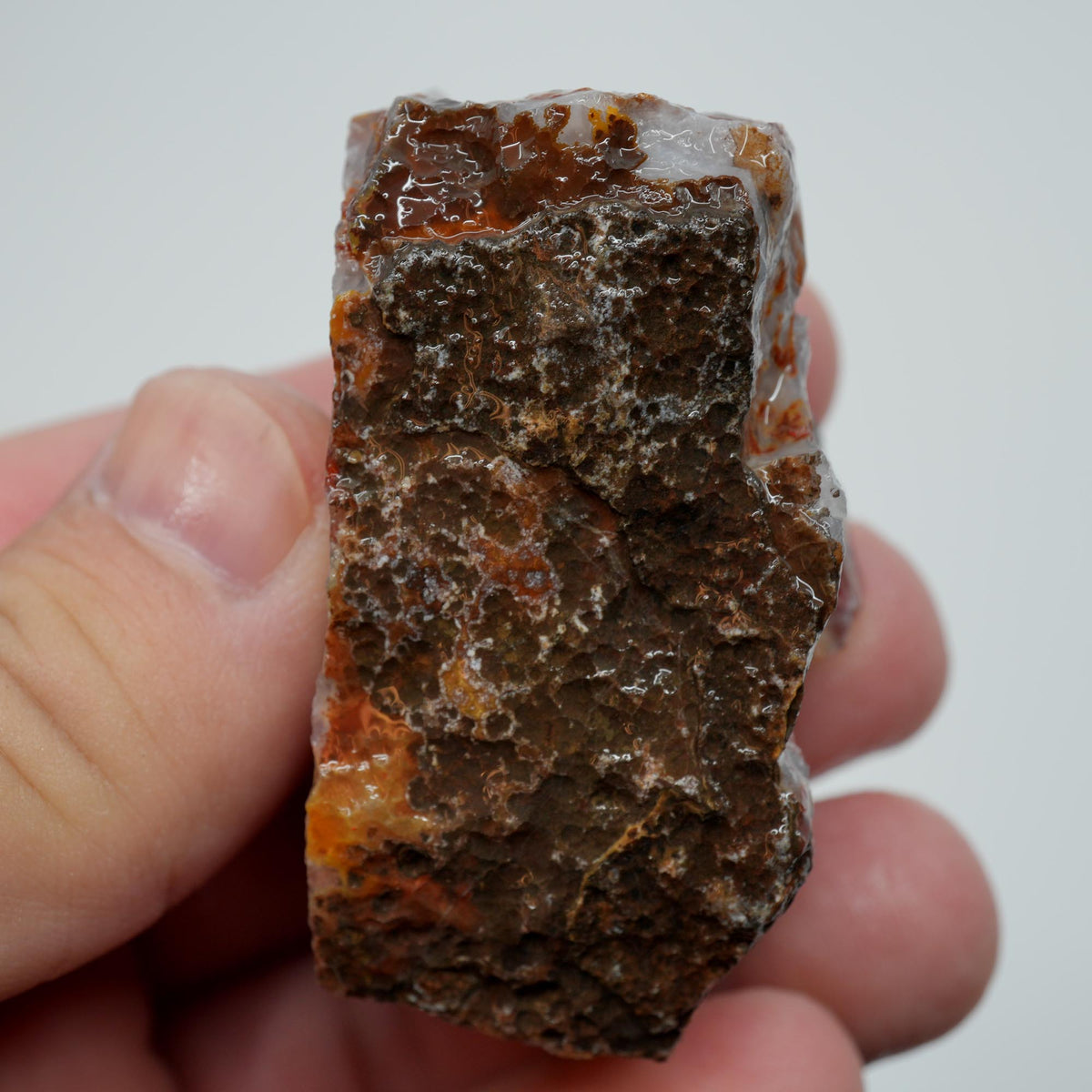 Agua Nueva Agate Rough - Fortification with Moss Above Mexican Moss Trimmer