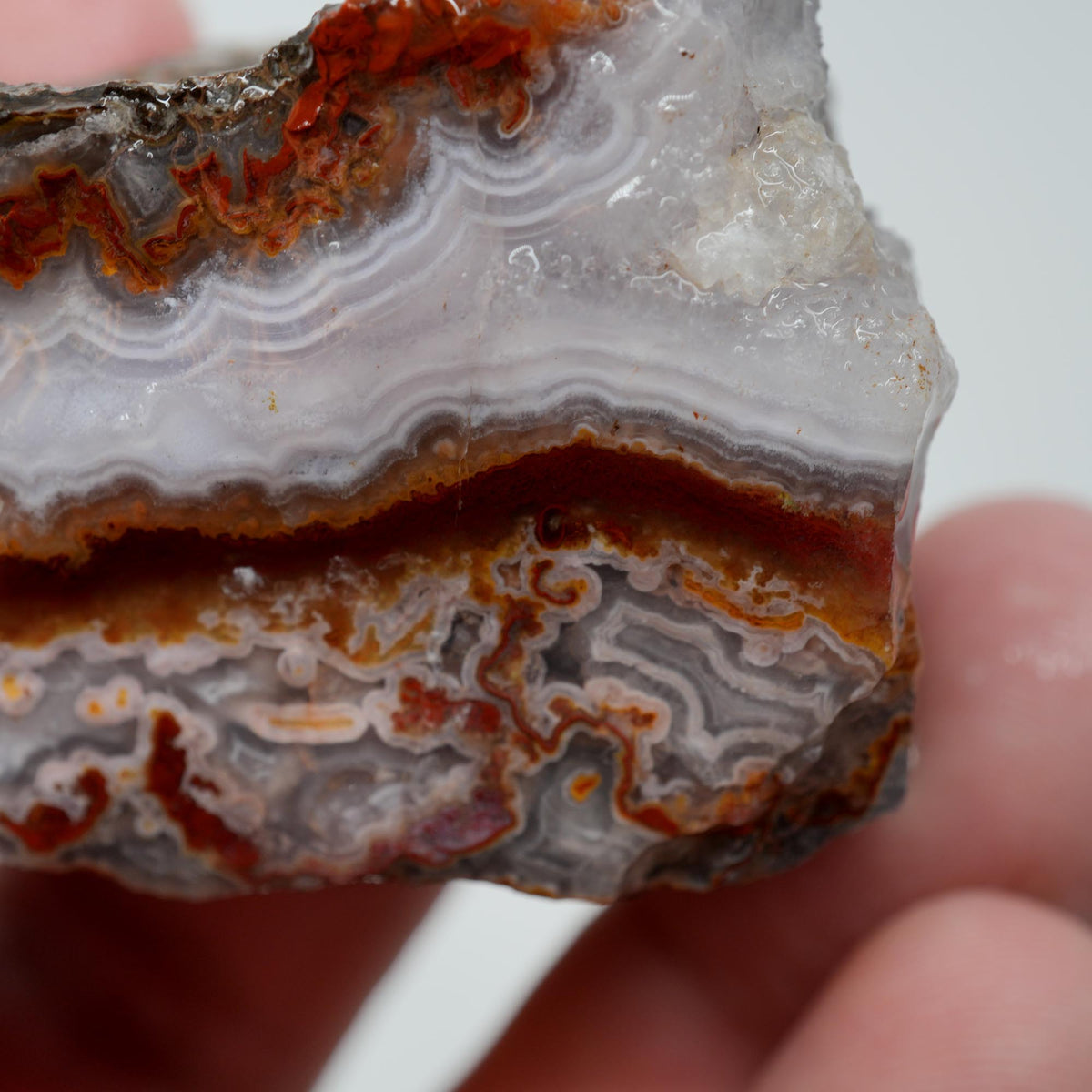 Agua Nueva Agate Rough - Fortification with Moss Above Mexican Moss Trimmer