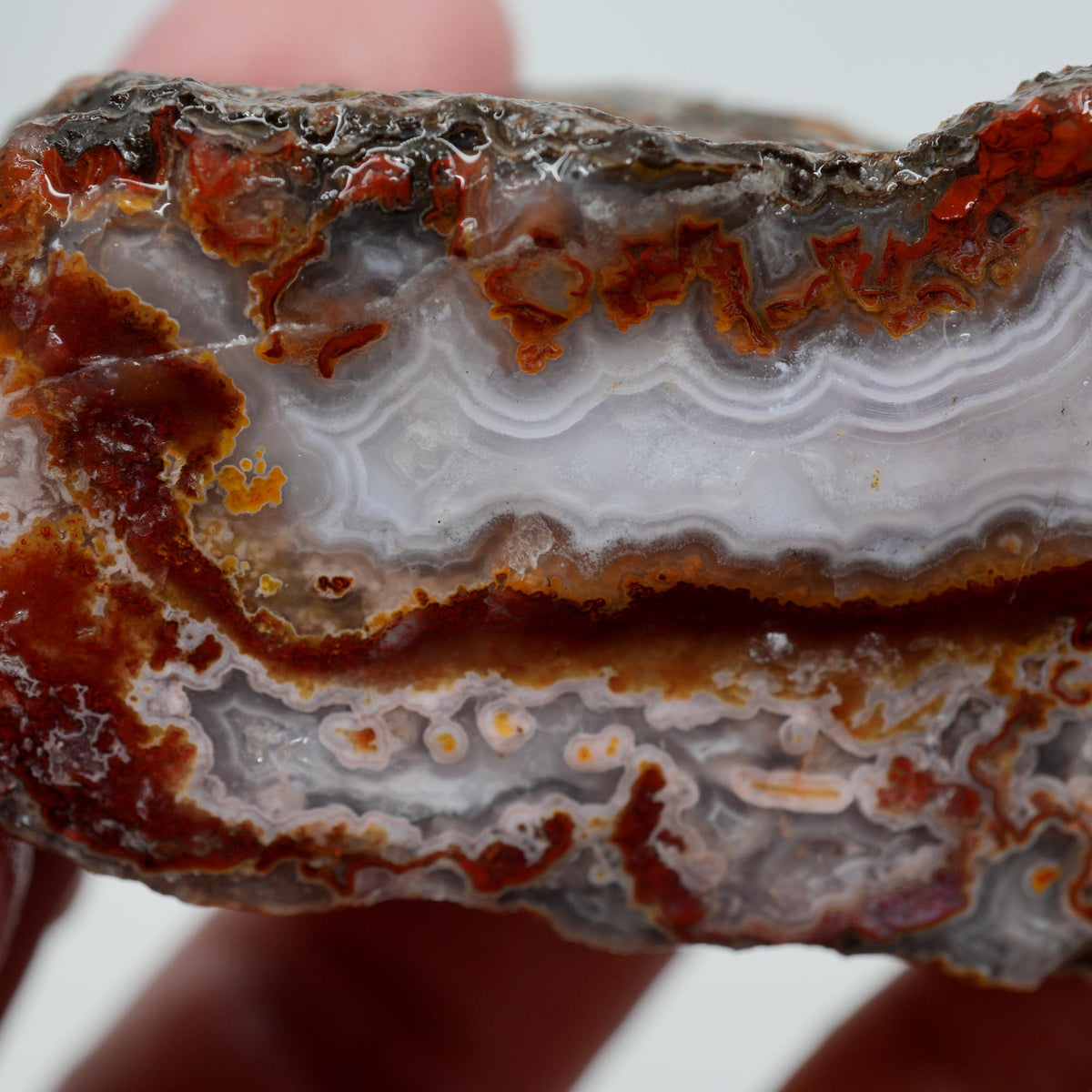 Agua Nueva Agate Rough - Fortification with Moss Above Mexican Moss Trimmer