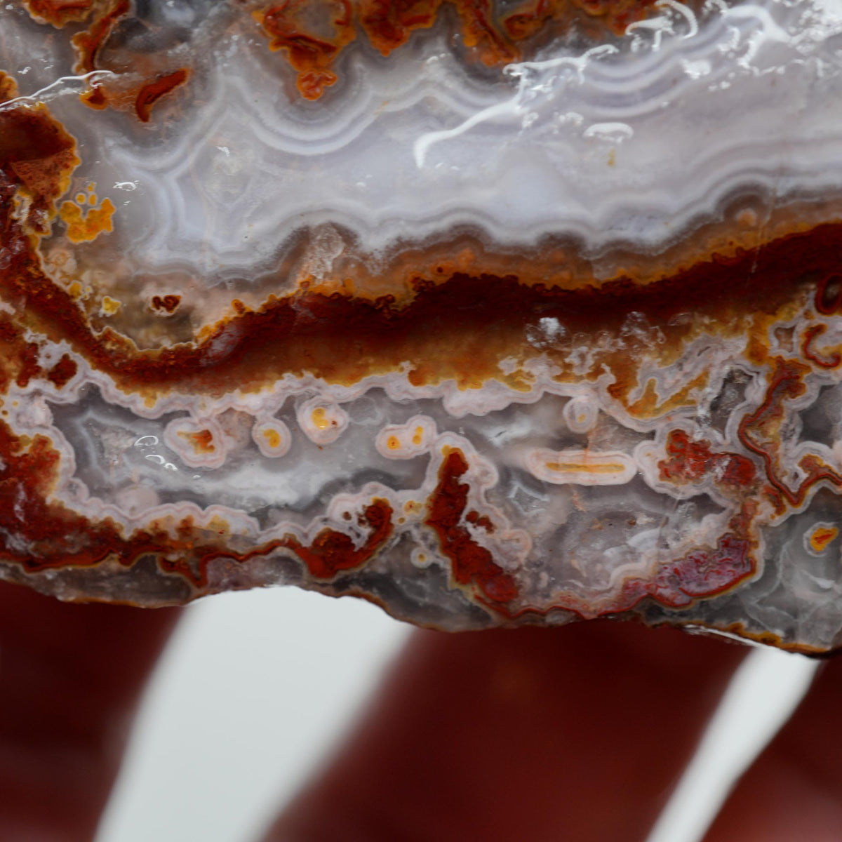 Agua Nueva Agate Rough - Fortification with Moss Above Mexican Moss Trimmer